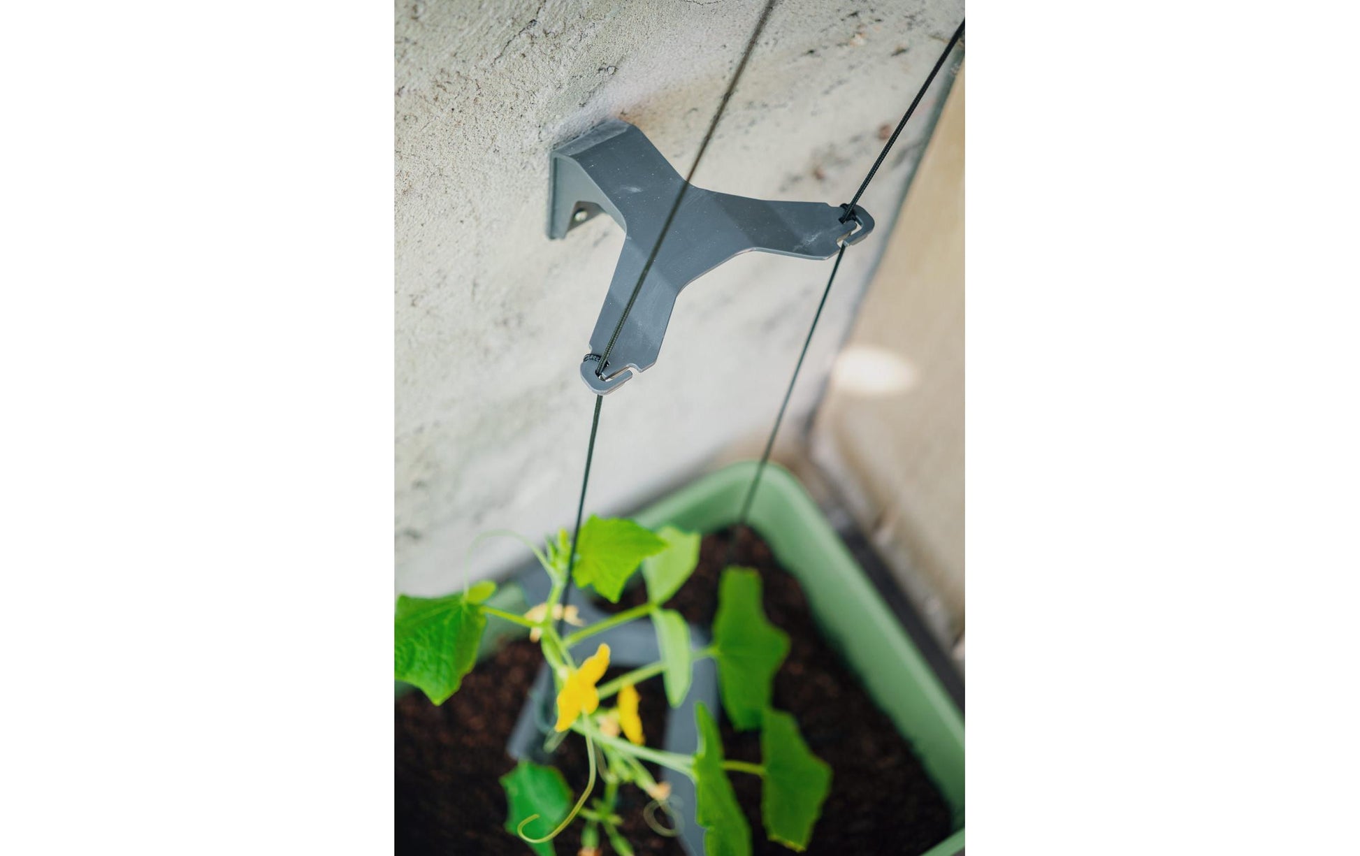 Gusta Garden Pflanzgefäss – 33,5 × 28,7 × 25,6 cm – Polypropylen, Blau