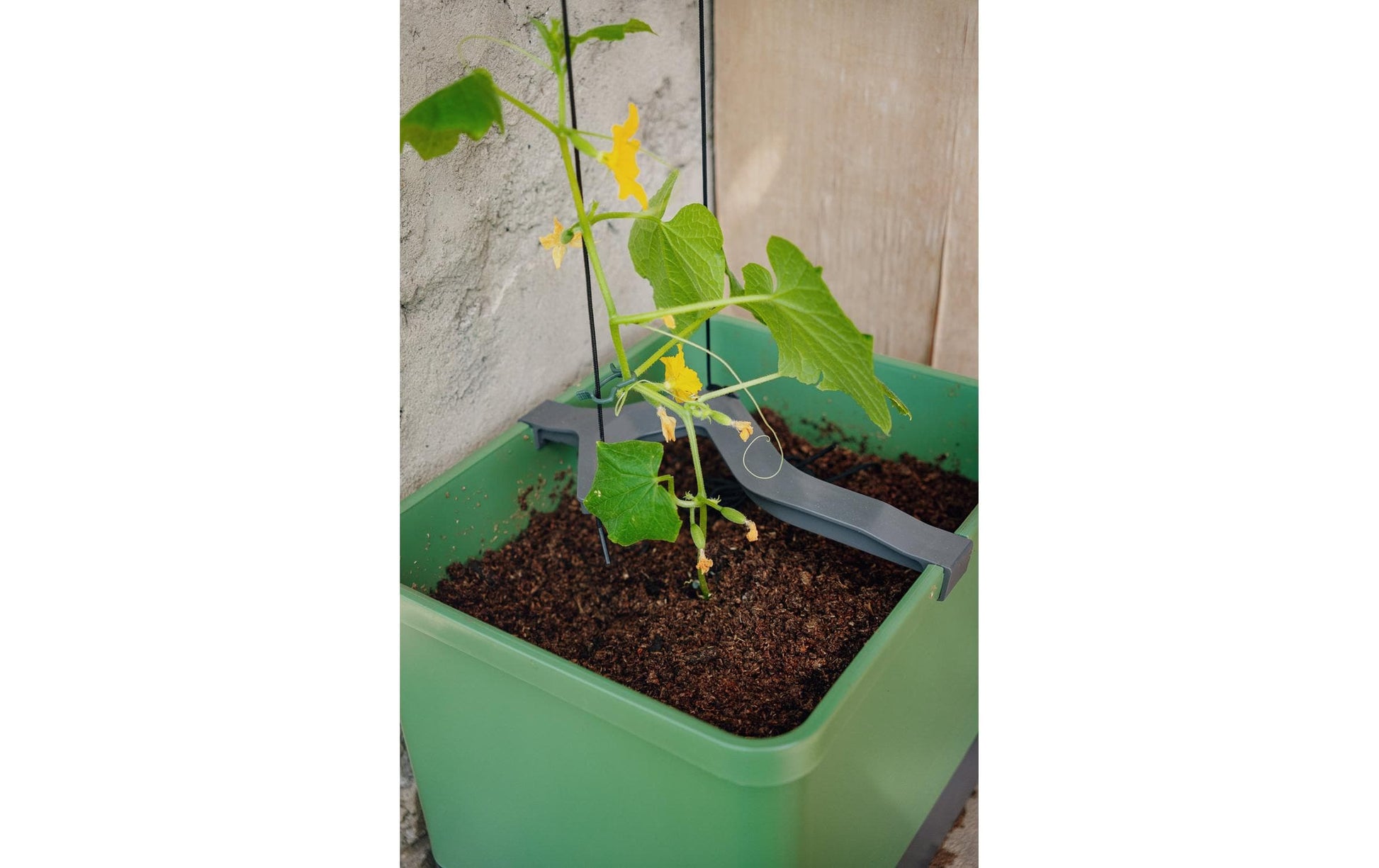 Gusta Garden Rechteckiges Pflanzgefäss 33,5×28,7×25,6 cm, grün, Polypropylen, wetterfest, für innen und aussen