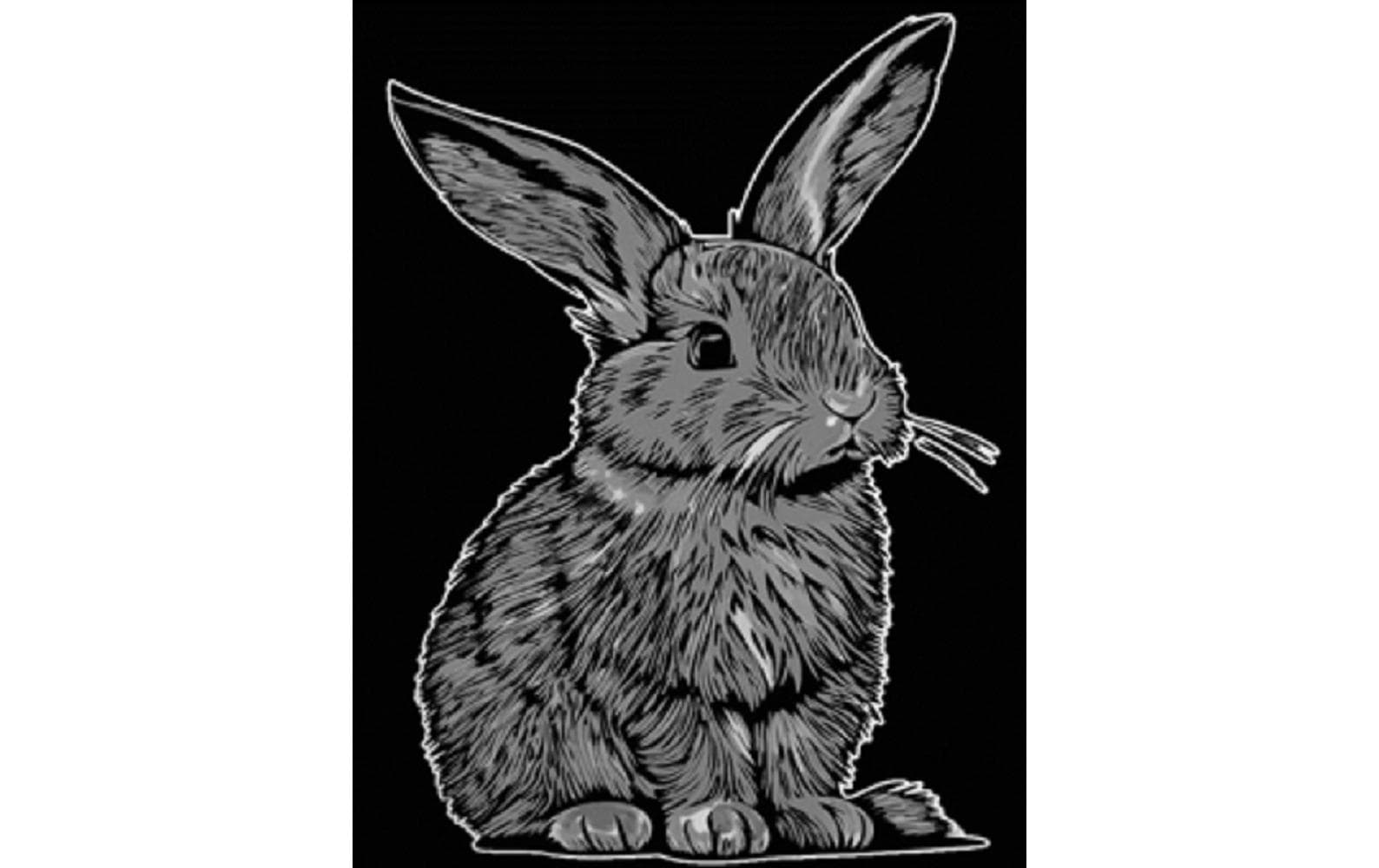 Tataruga Bastelset Samtbild A4 – Hase