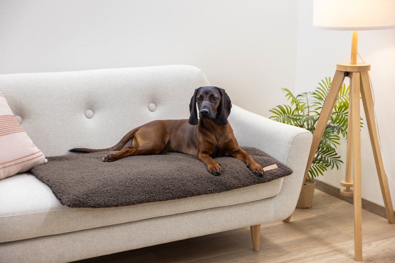 Kerbl Multifunktionsmatratze Hundebett – 72 × 50 × 5 cm, Baumwollvlies/Polyester, Beige/Braun, 1 Stk.