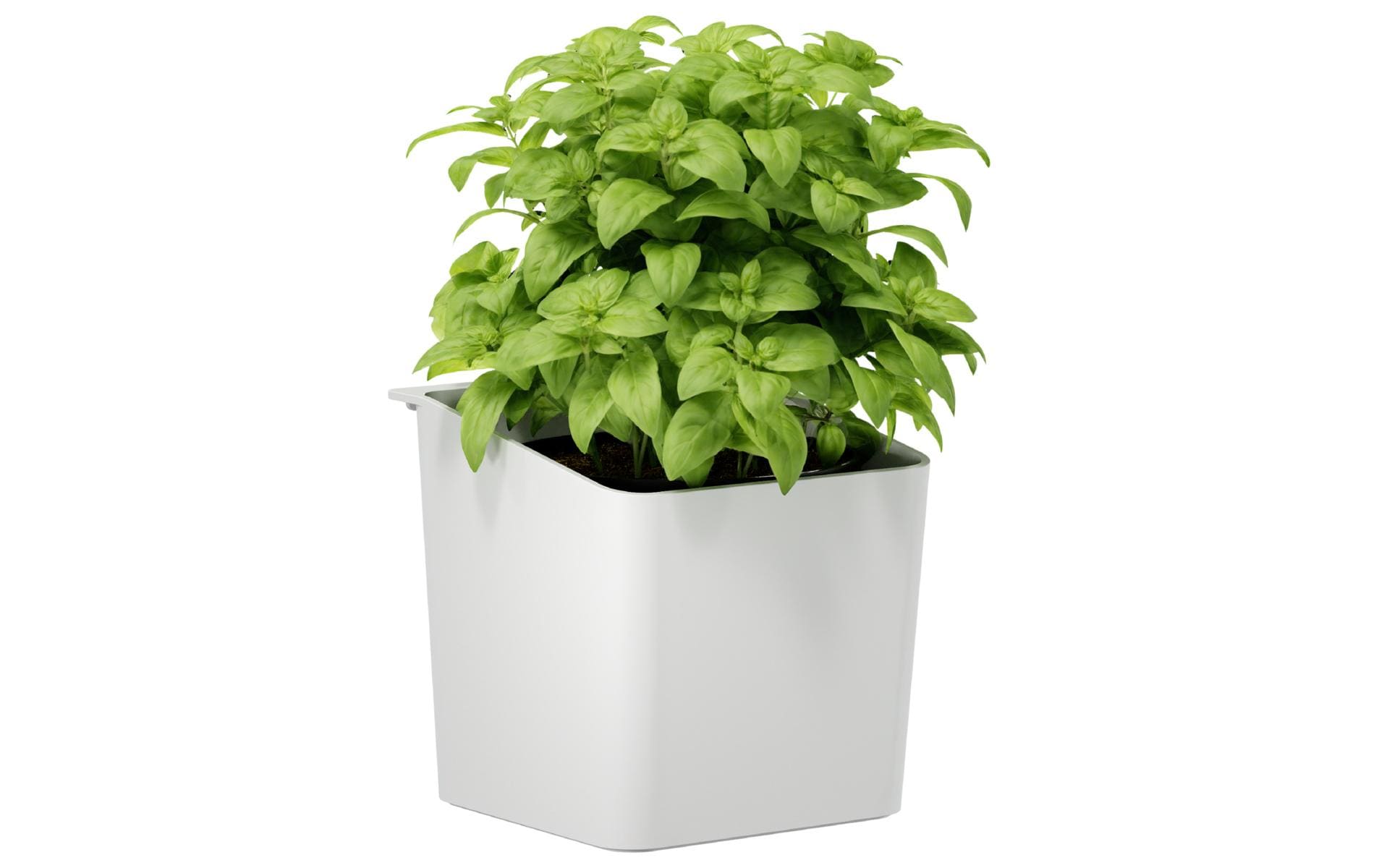 Tesa Kräutertopf – 2,5 l – eckig, mit Wandhalterung – ABS – grau – 13,5 × 13,5 × 14 cm