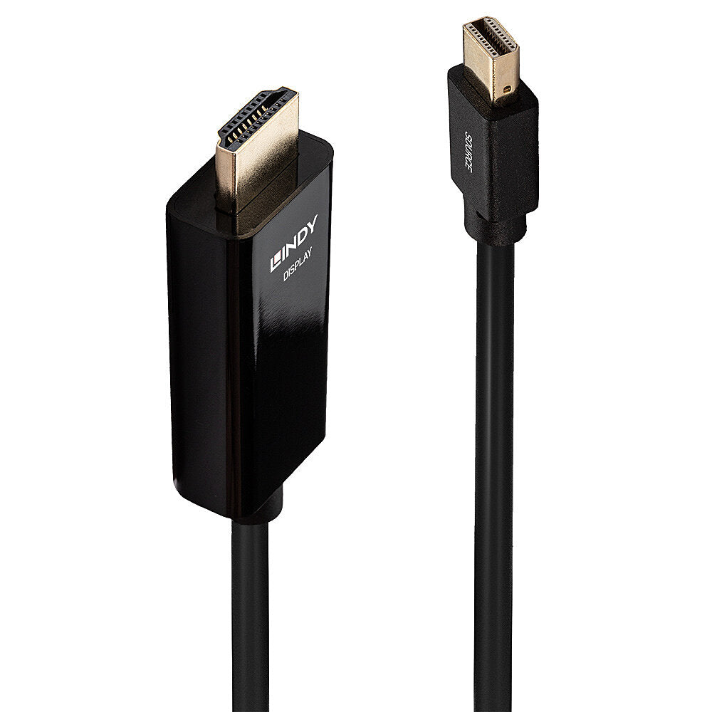 Lindy Mini DisplayPort (Stecker) auf HDMI (Stecker) Adapter, 4K@30 Hz, 1 m, passiv