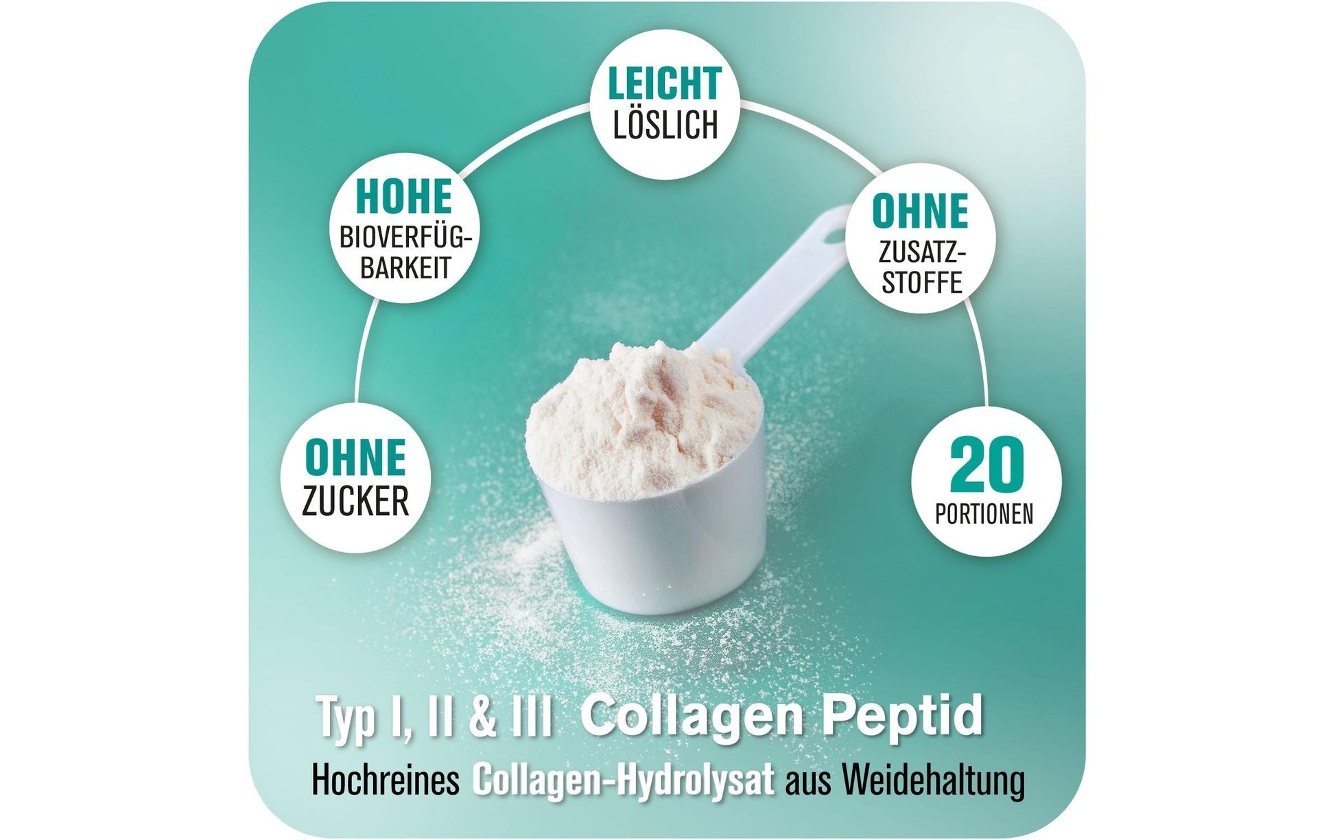 ALL STARS Fitness Products All Stars Collagen Peptid Pulver Neutral – laktosefrei – 300 g