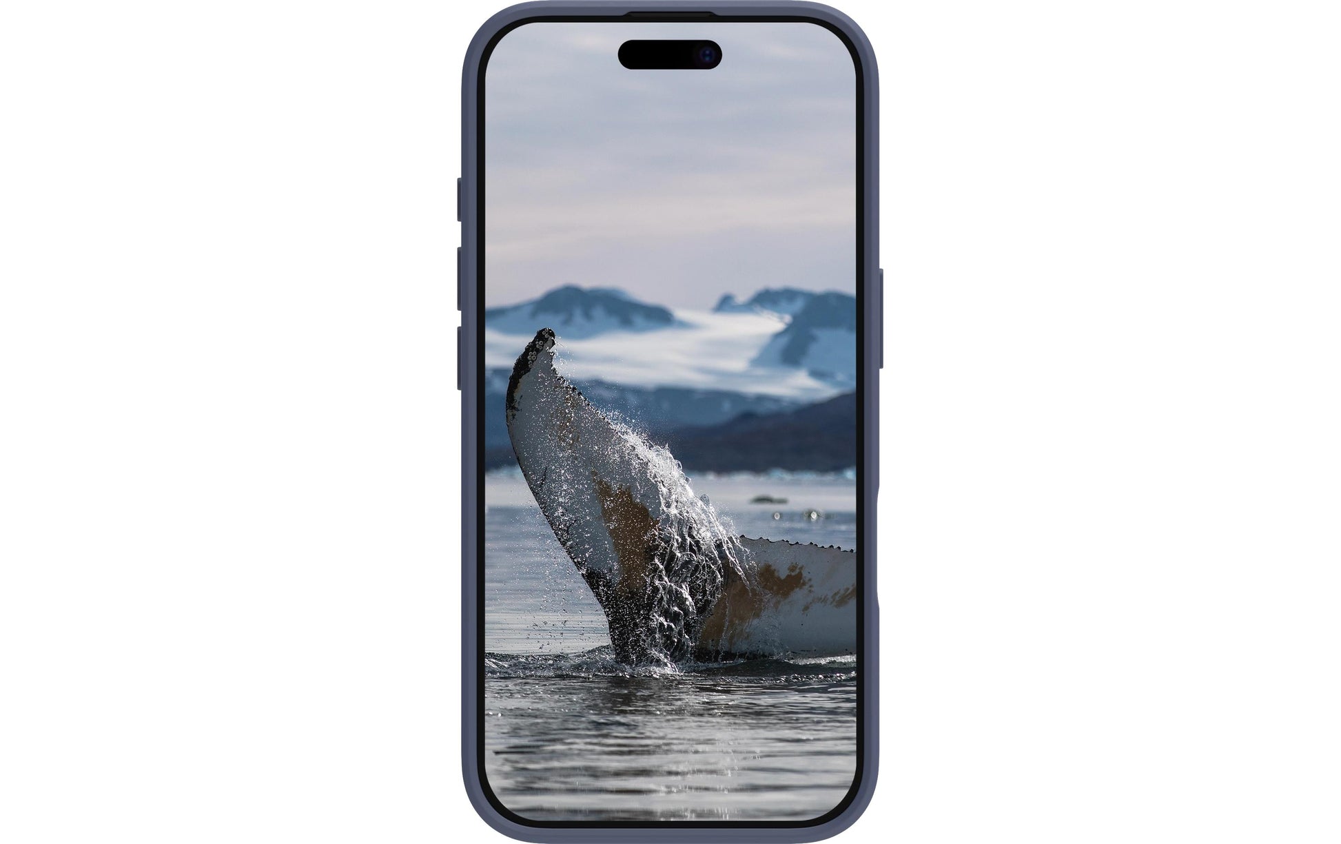 dbramante1928 Greenland – Backcover – für Apple iPhone 16 Plus, Kunststoff, Pacific Blue
