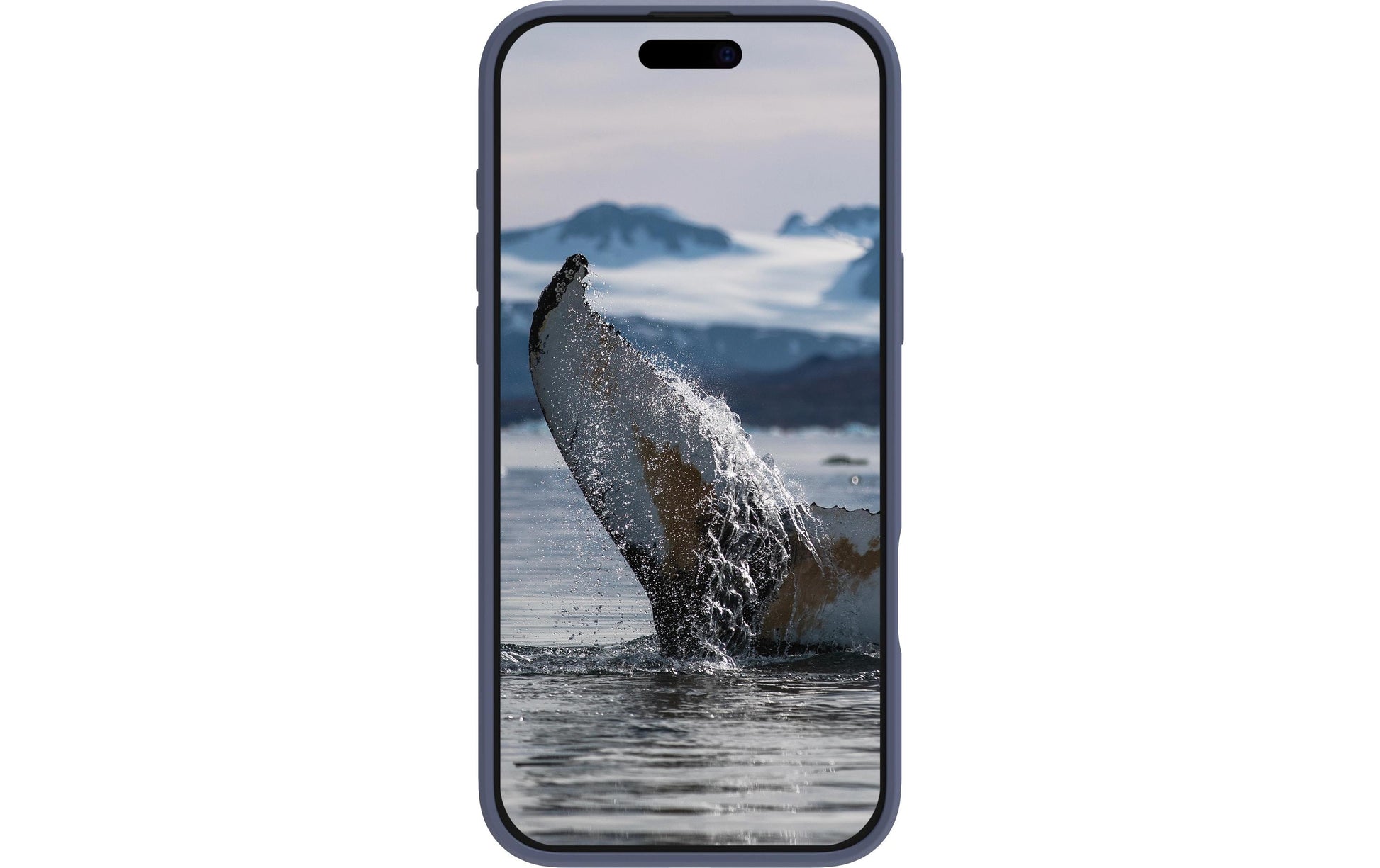 dbramante1928 Greenland Pro MS Backcover – für Apple iPhone 16, Recycling-Kunststoff, Pacific Blue
