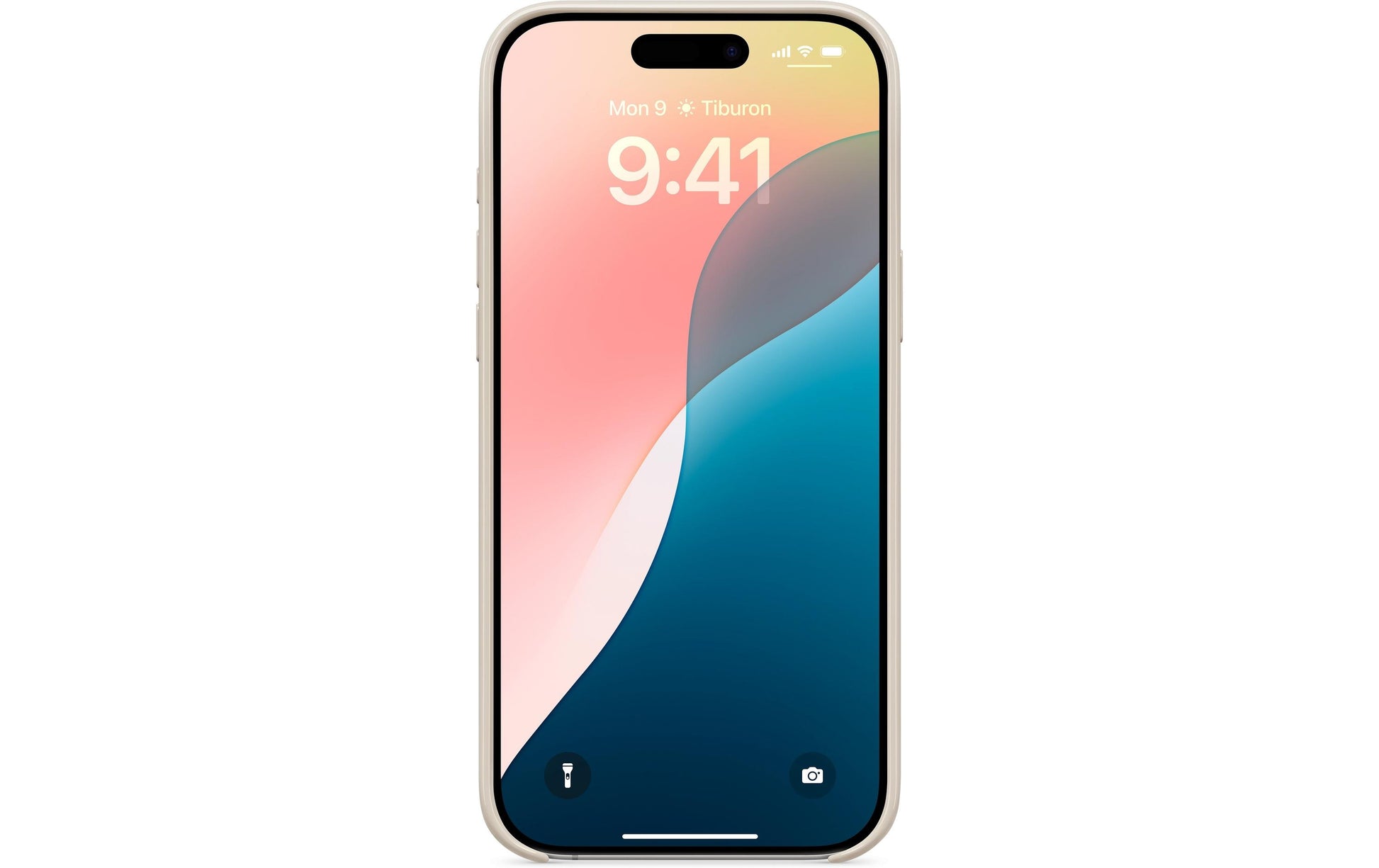 Apple Backcover – für iPhone 16 Pro Max – Summit Stone – PC – MagSafe-kompatibel