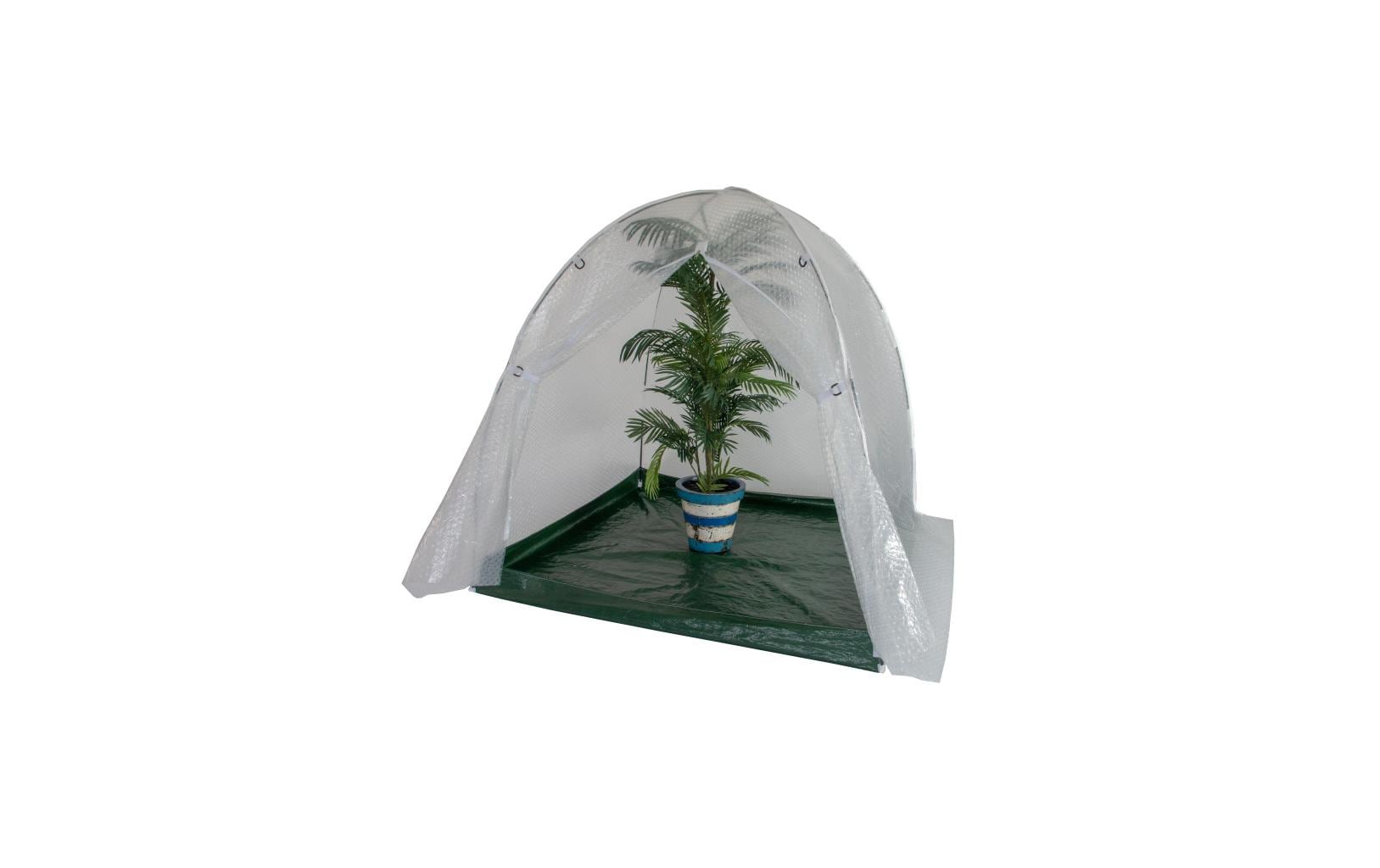 Colibri Winterhaube – 150 × 150 × 150 cm, Pflanzenvlies, Grün, Transparent
