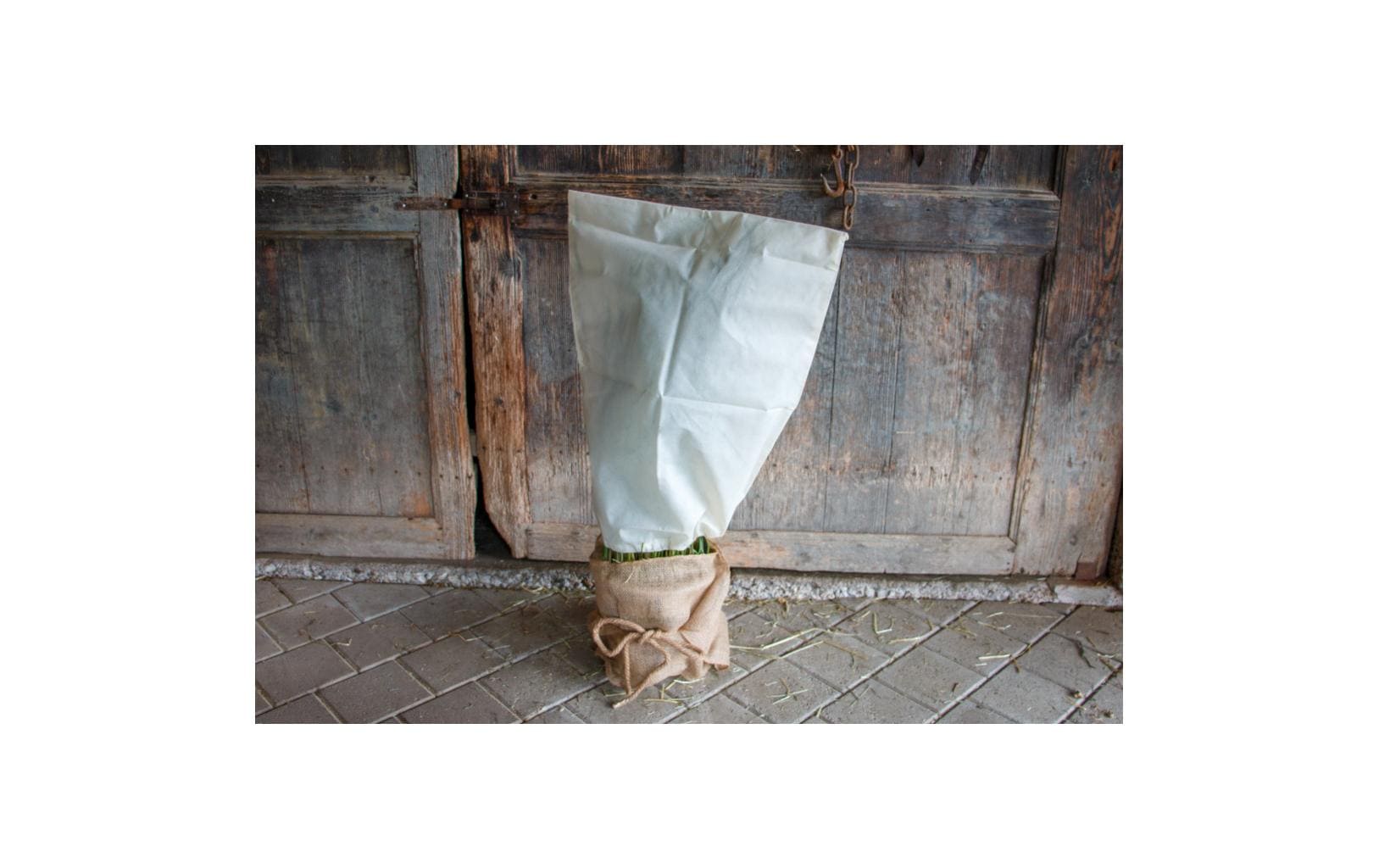 Colibri Pflanzenvlies – 38 × 150 cm, Mehrfarbig, Jute, 230 g/m²