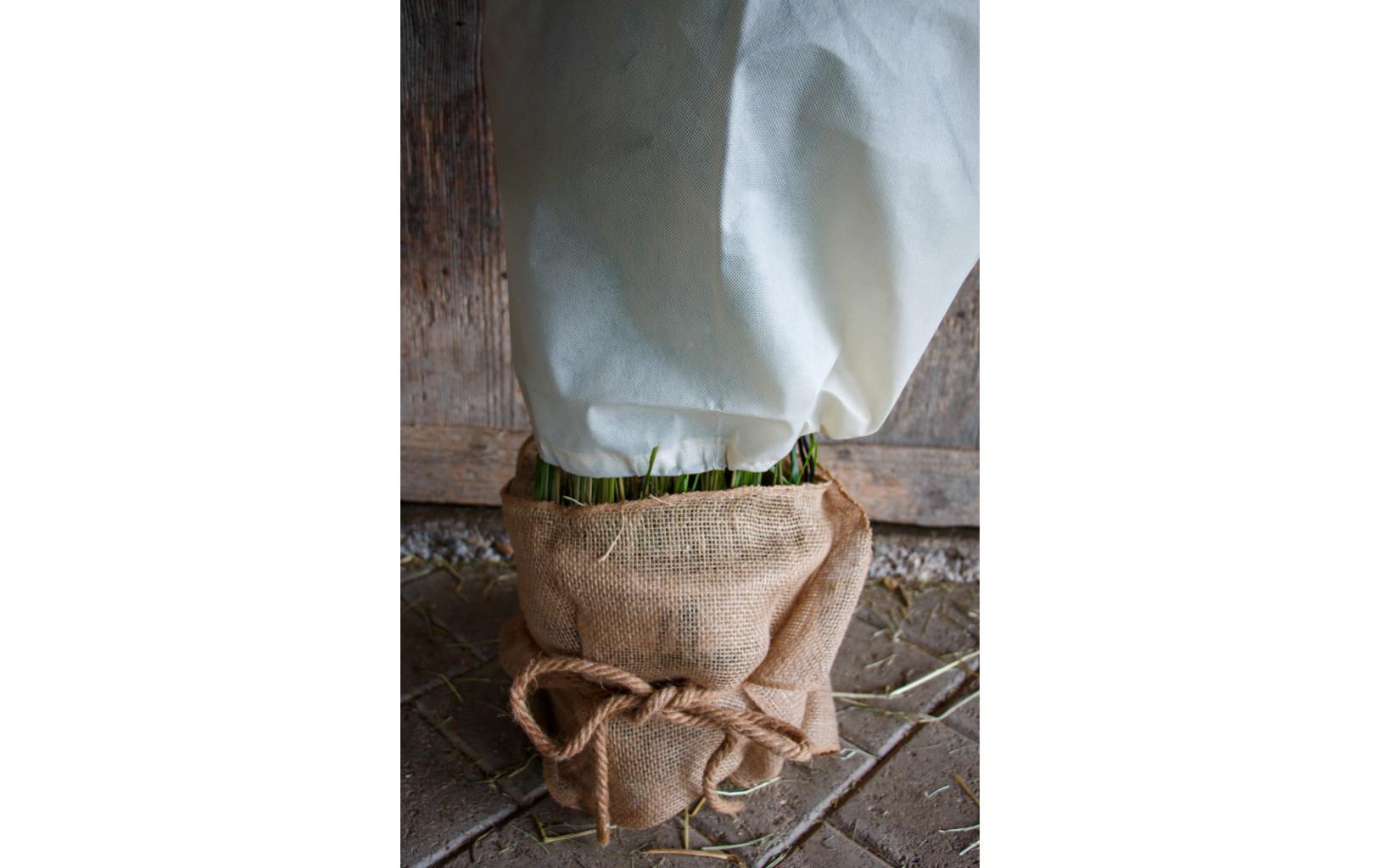 Colibri Pflanzenvlies – 38 × 150 cm, Mehrfarbig, Jute, 230 g/m²