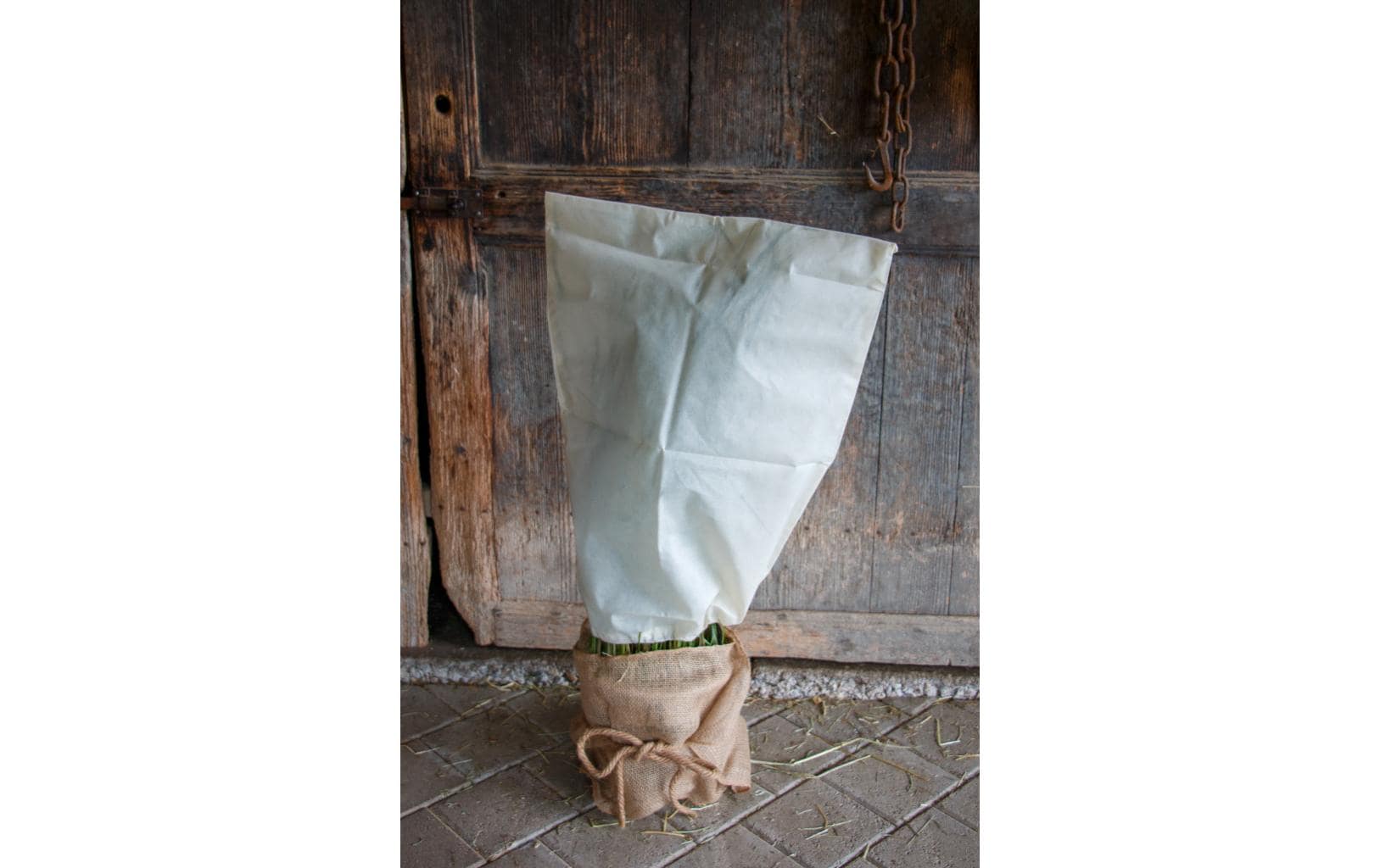 Colibri Pflanzenvlies – 38 × 150 cm, Mehrfarbig, Jute, 230 g/m²