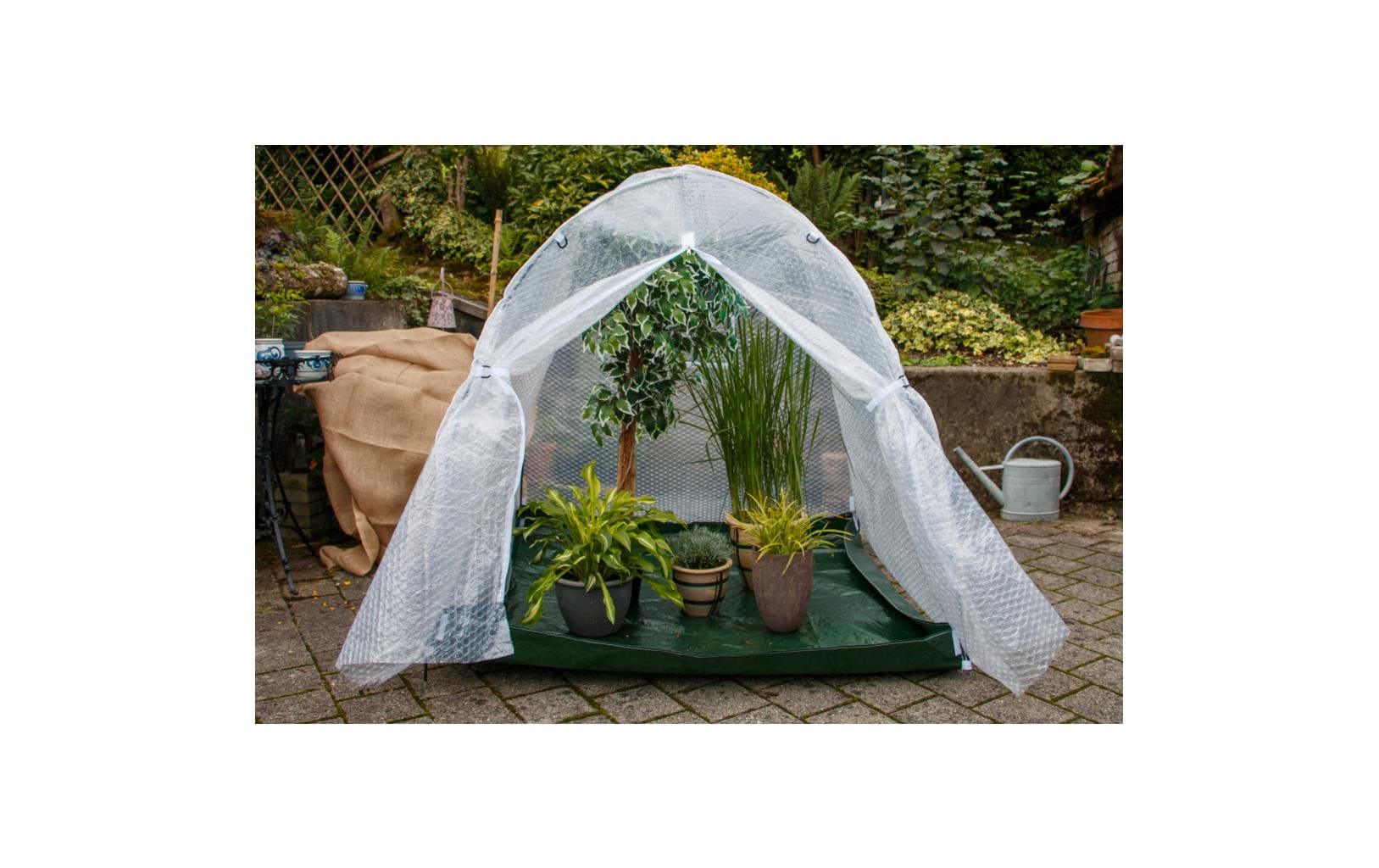 Colibri Winterhaube – 150 × 150 × 150 cm, Pflanzenvlies, Grün, Transparent