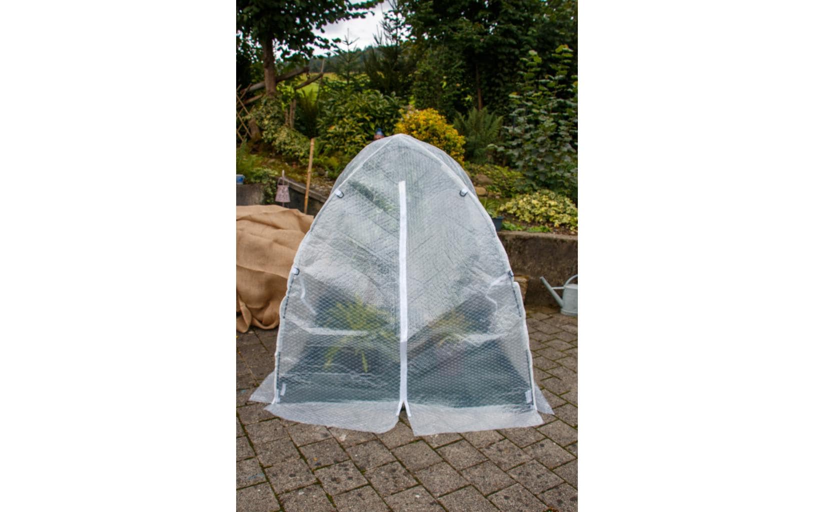 Colibri Winterhaube – 150 × 150 × 150 cm, Pflanzenvlies, Grün, Transparent