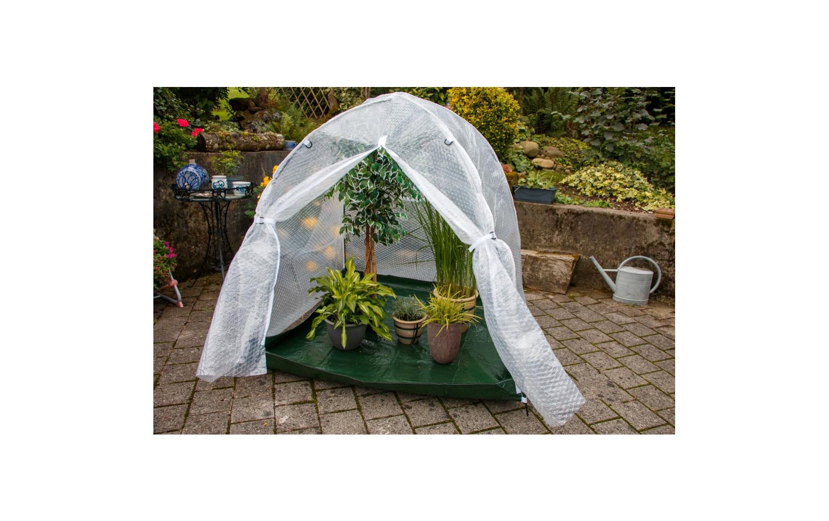 Colibri Winterhaube – 150 × 150 × 150 cm, Pflanzenvlies, Grün, Transparent