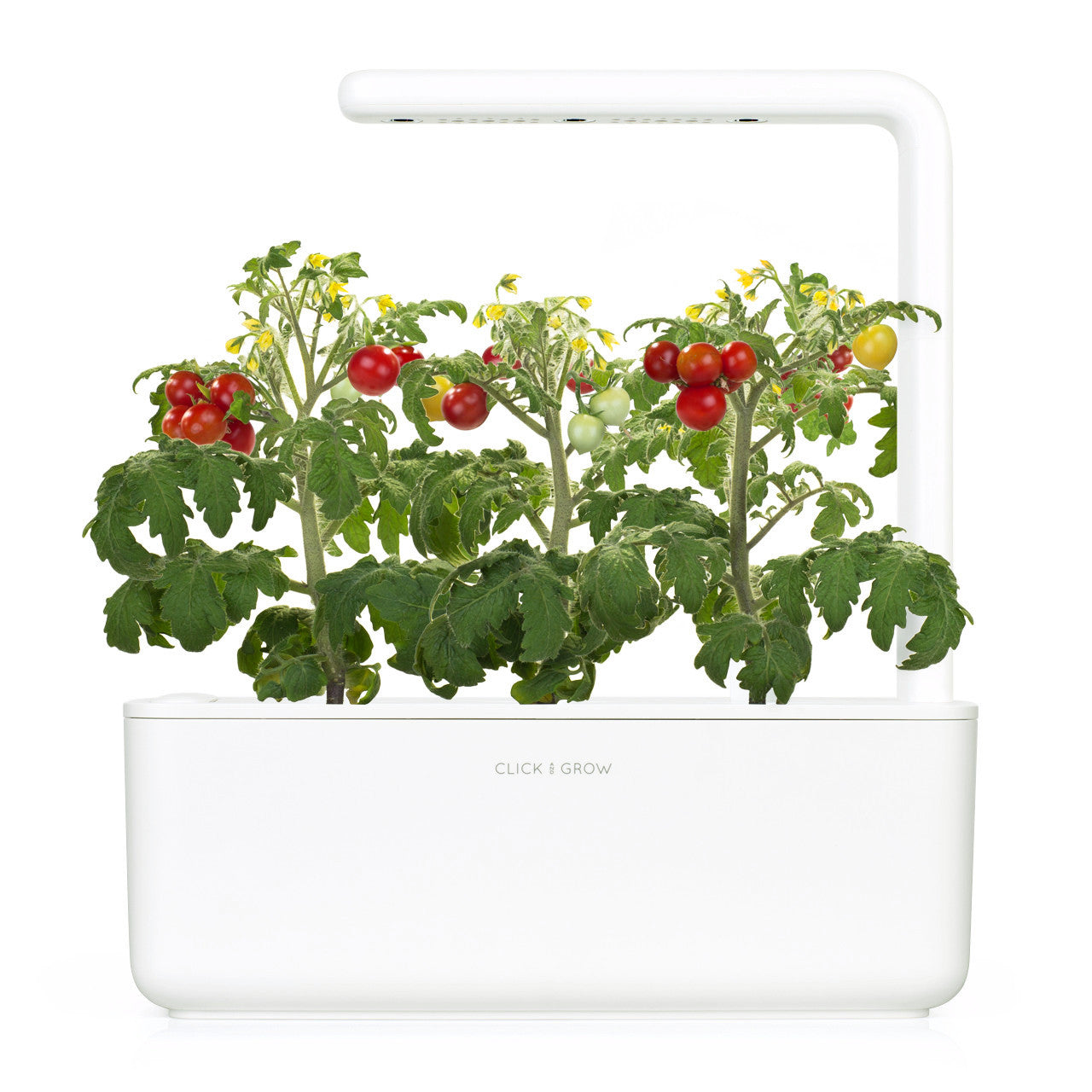 Click & Grow Smart Garden 3 – 1,2 l Wassertank, integrierte LED-Beleuchtung & automatische Bewässerung – Weiss