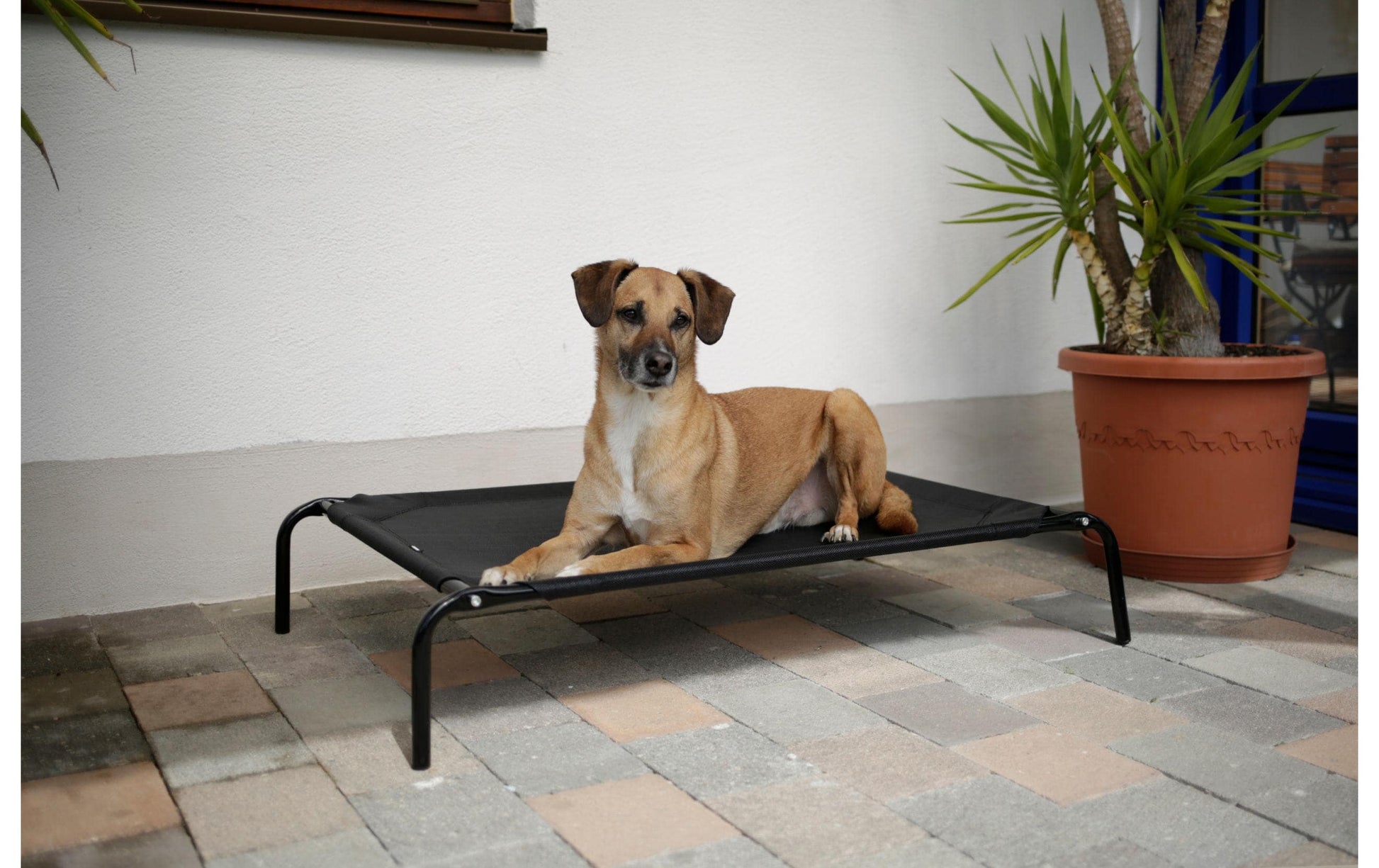 Kerbl Hundeliege Vacation – 107 × 65 × 20 cm, Metall/Polyester/PVC, Schwarz