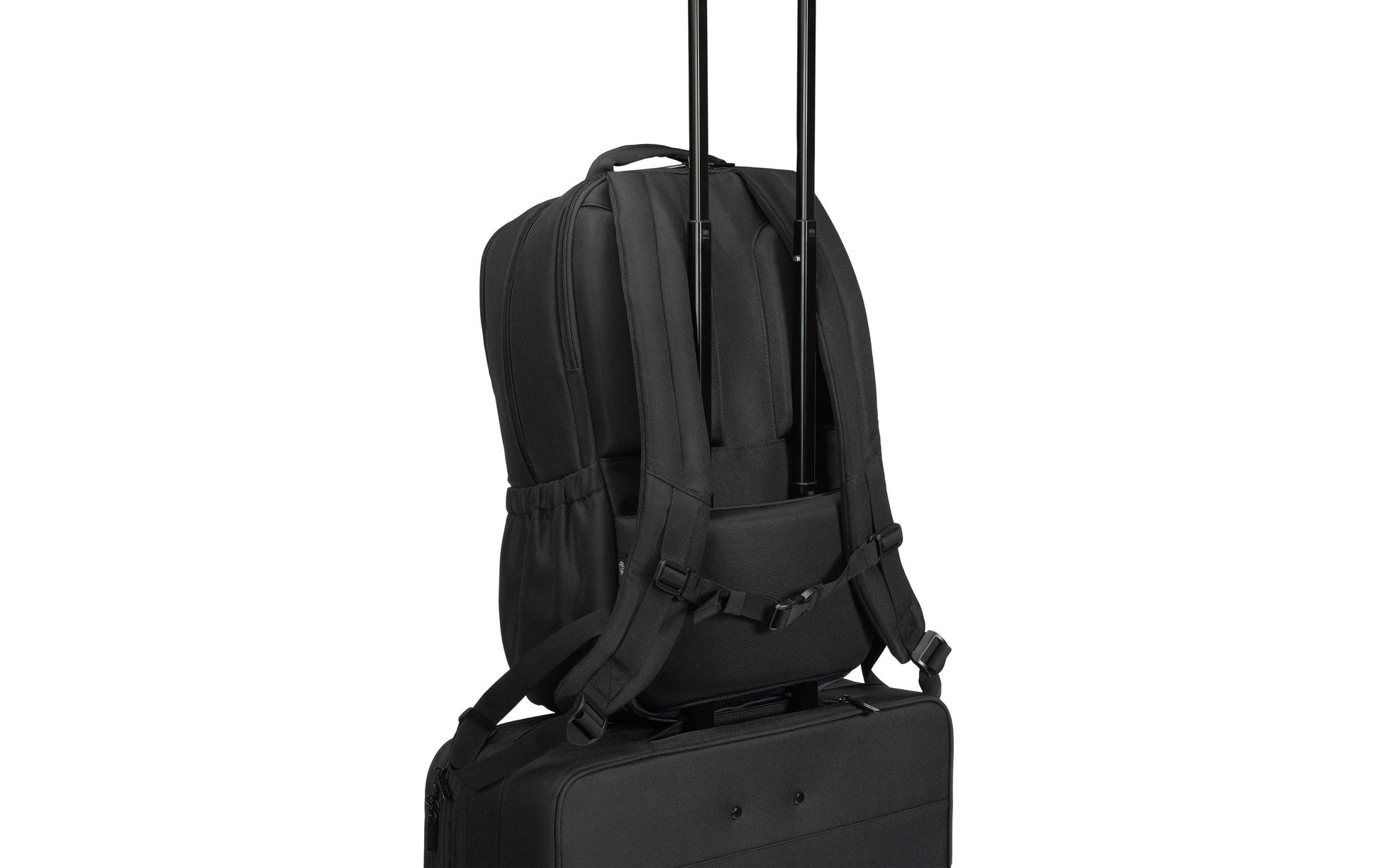 DICOTA Companion – Notebook-Rucksack – für 13–16" Notebook