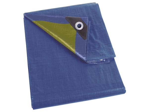 Perel Abdeckplane – 2 m × 3 m, Kunststoff, Grün/Blau, 70 g/m²