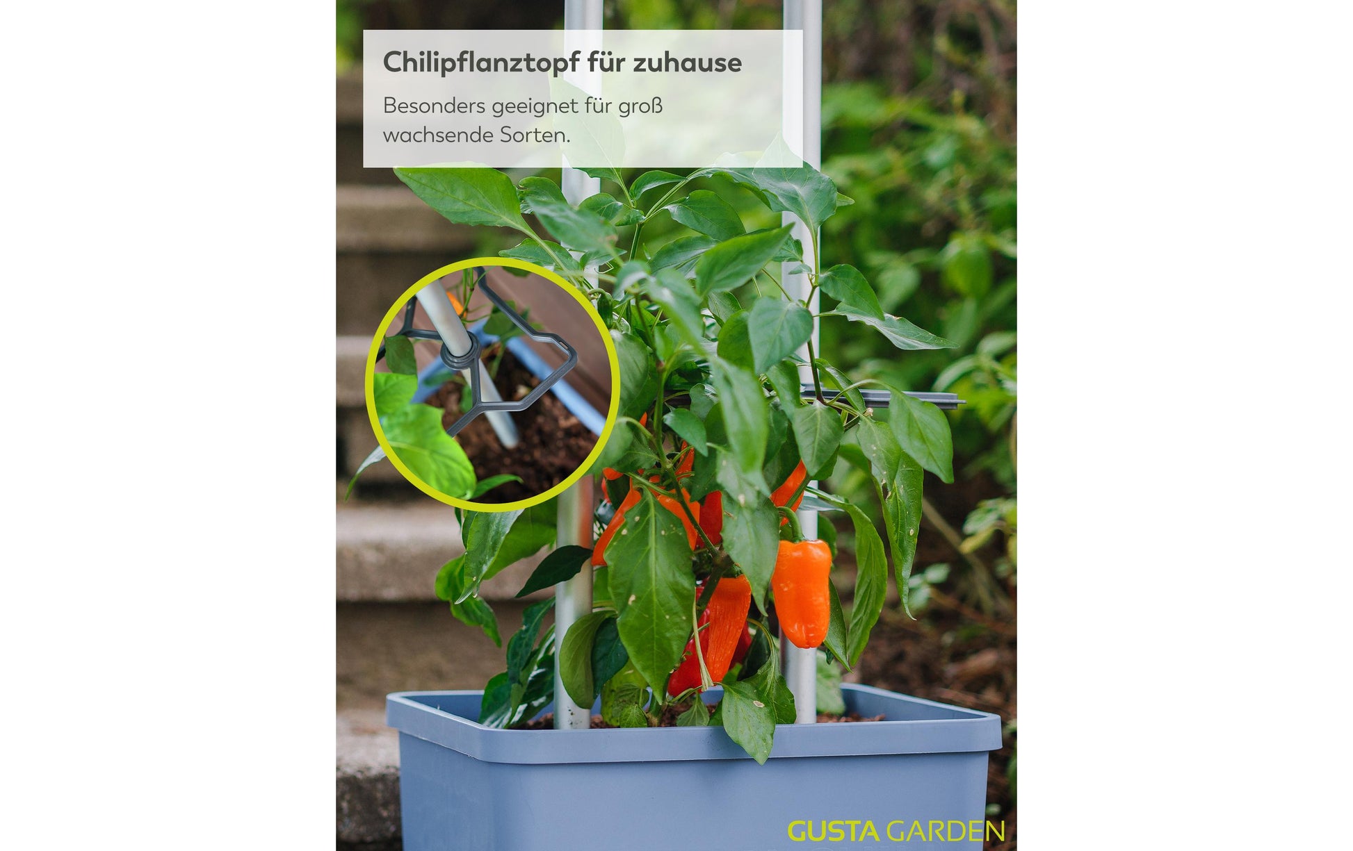 Gusta Garden Topfpflanzer – 20000 ml, automatische Bewässerung – Kunststoff, Dunkelblau