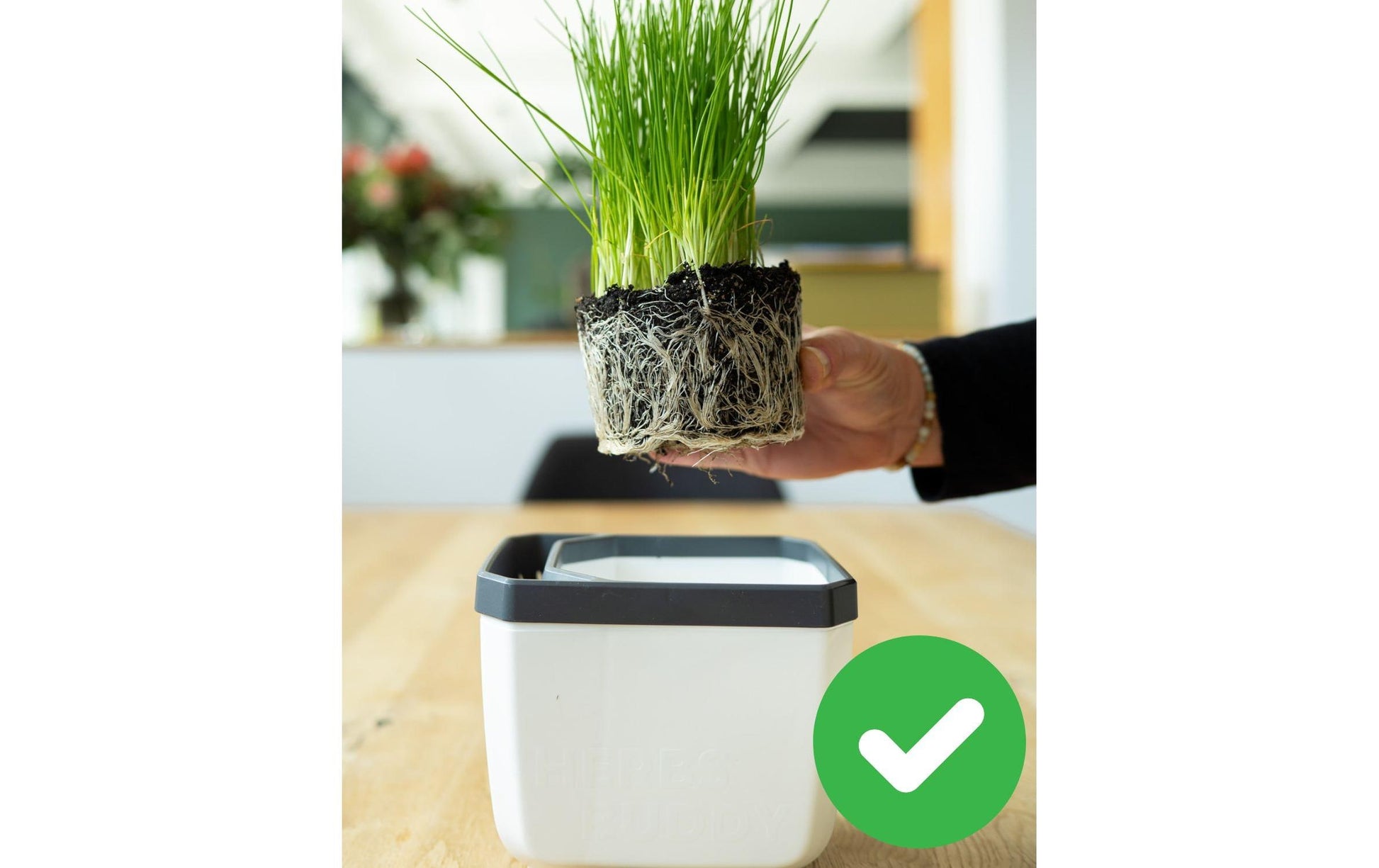 Gusta Garden Kräutertopf – für Innen und Aussen – 50 × 14,9 × 14,5 cm – Polypropylen, weiss – 3-teilig