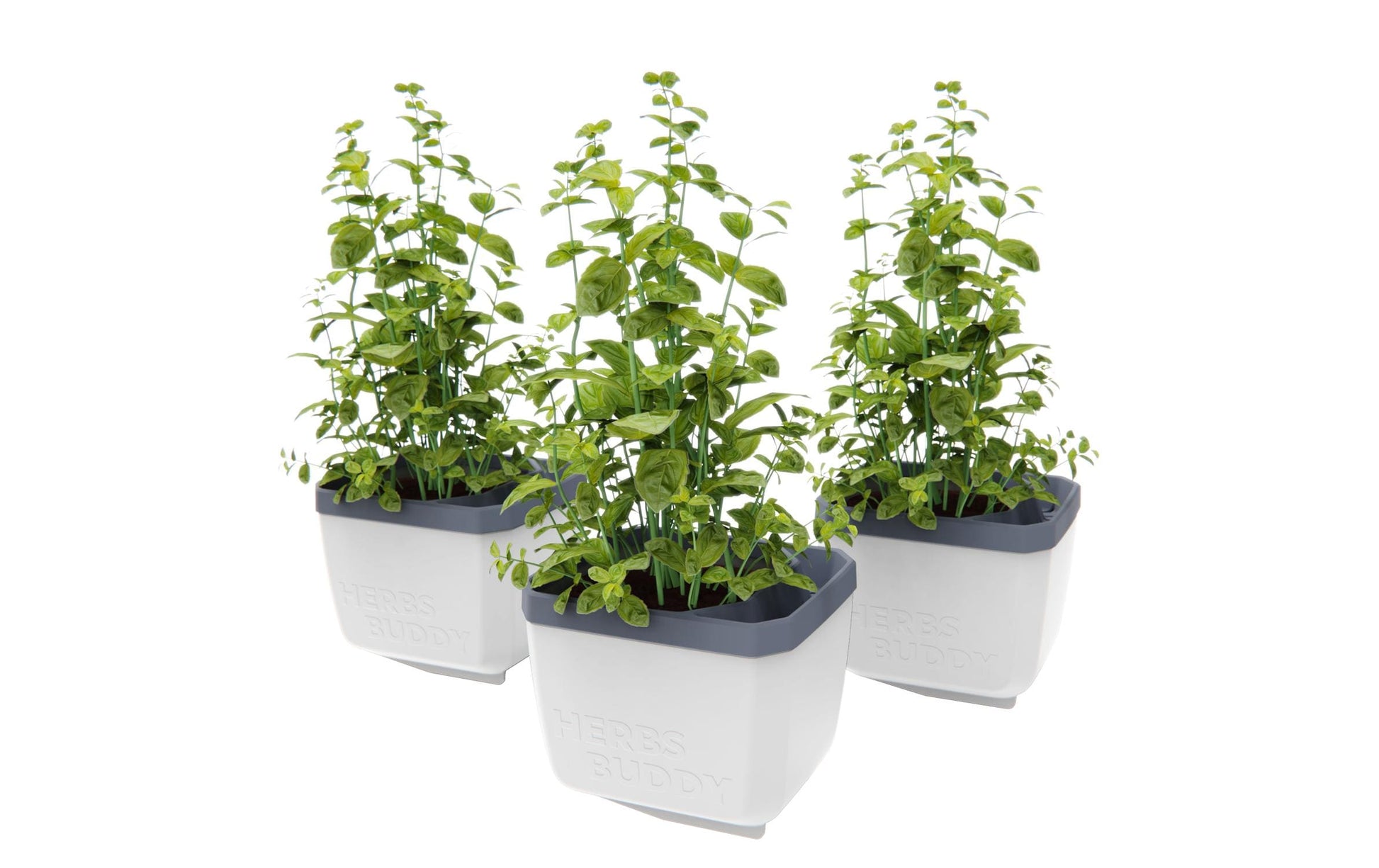 Gusta Garden Kräutertopf – für Innen und Aussen – 50 × 14,9 × 14,5 cm – Polypropylen, weiss – 3-teilig