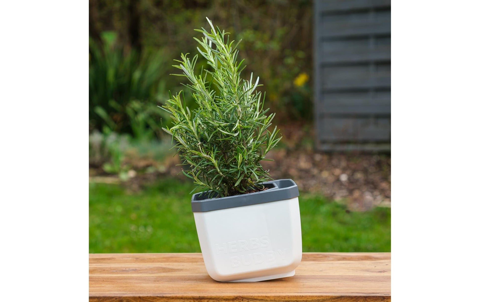 Gusta Garden Kräutertopf – für Innen und Aussen – 50 × 14,9 × 14,5 cm – Polypropylen, weiss – 3-teilig