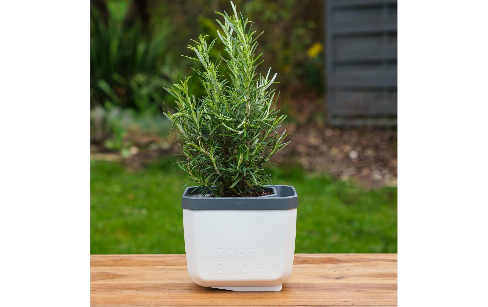 Gusta Garden Kräutertopf – für Innen und Aussen – 50 × 14,9 × 14,5 cm – Polypropylen, weiss – 3-teilig