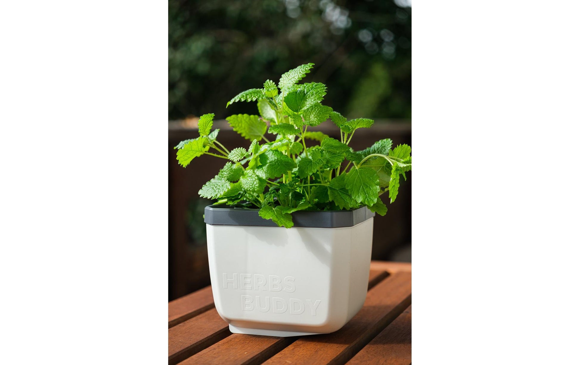 Gusta Garden Kräutertopf – für Innen und Aussen – 50 × 14,9 × 14,5 cm – Polypropylen, weiss – 3-teilig