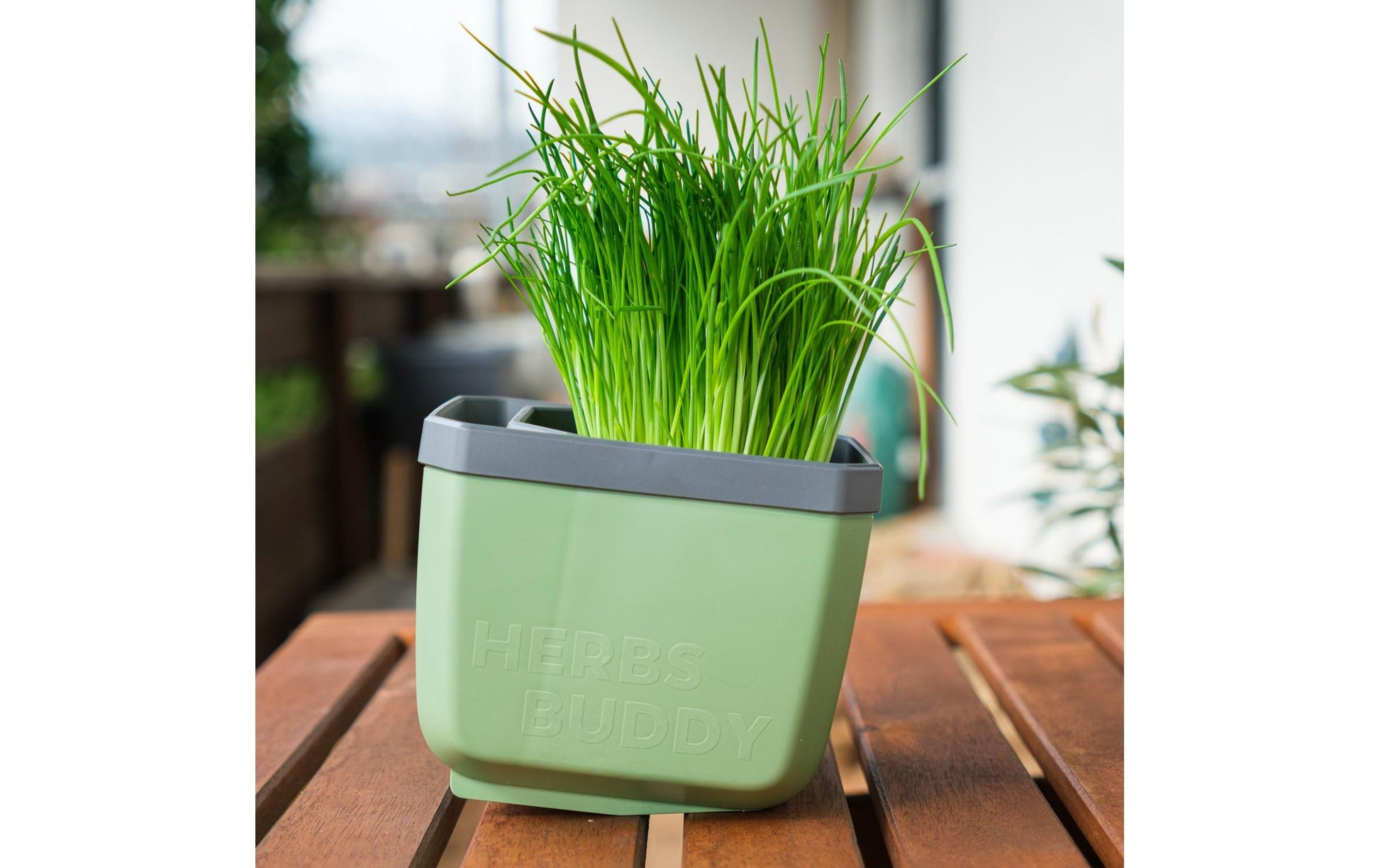 Gusta Garden Pflanztopf – 3,5 l – Polypropylen (PP), Dunkelgrün – 16,3 × 14,5 × 14,9 cm – 3-teilig
