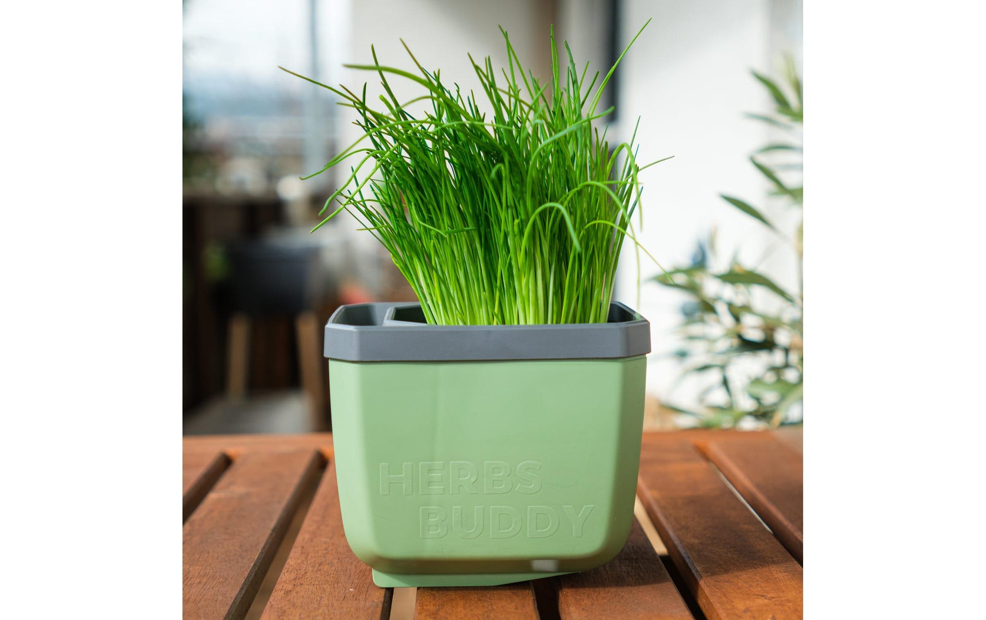Gusta Garden Pflanztopf – 3,5 l – Polypropylen (PP), Dunkelgrün – 16,3 × 14,5 × 14,9 cm – 3-teilig