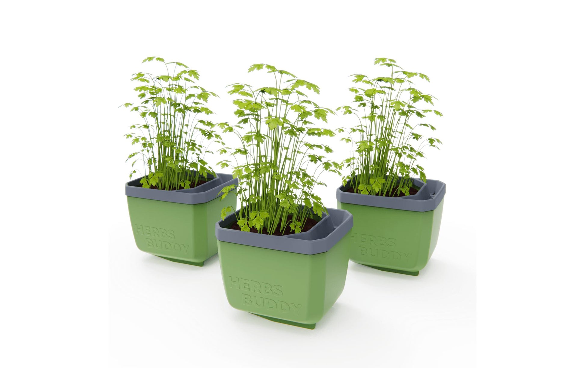 Gusta Garden Kräutertopf – 50 × 14,5 × 14,9 cm – Kunststoff, Grün – 3-teilig