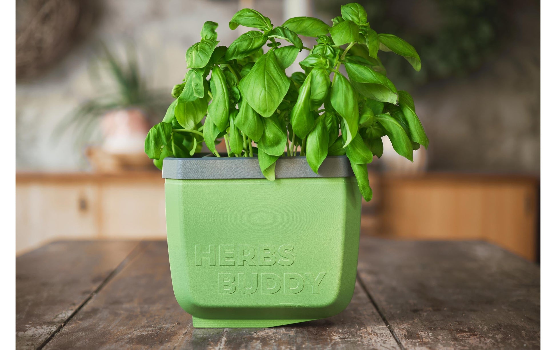 Gusta Garden Kräutertopf – 50 × 14,5 × 14,9 cm – Kunststoff, Grün – 3-teilig