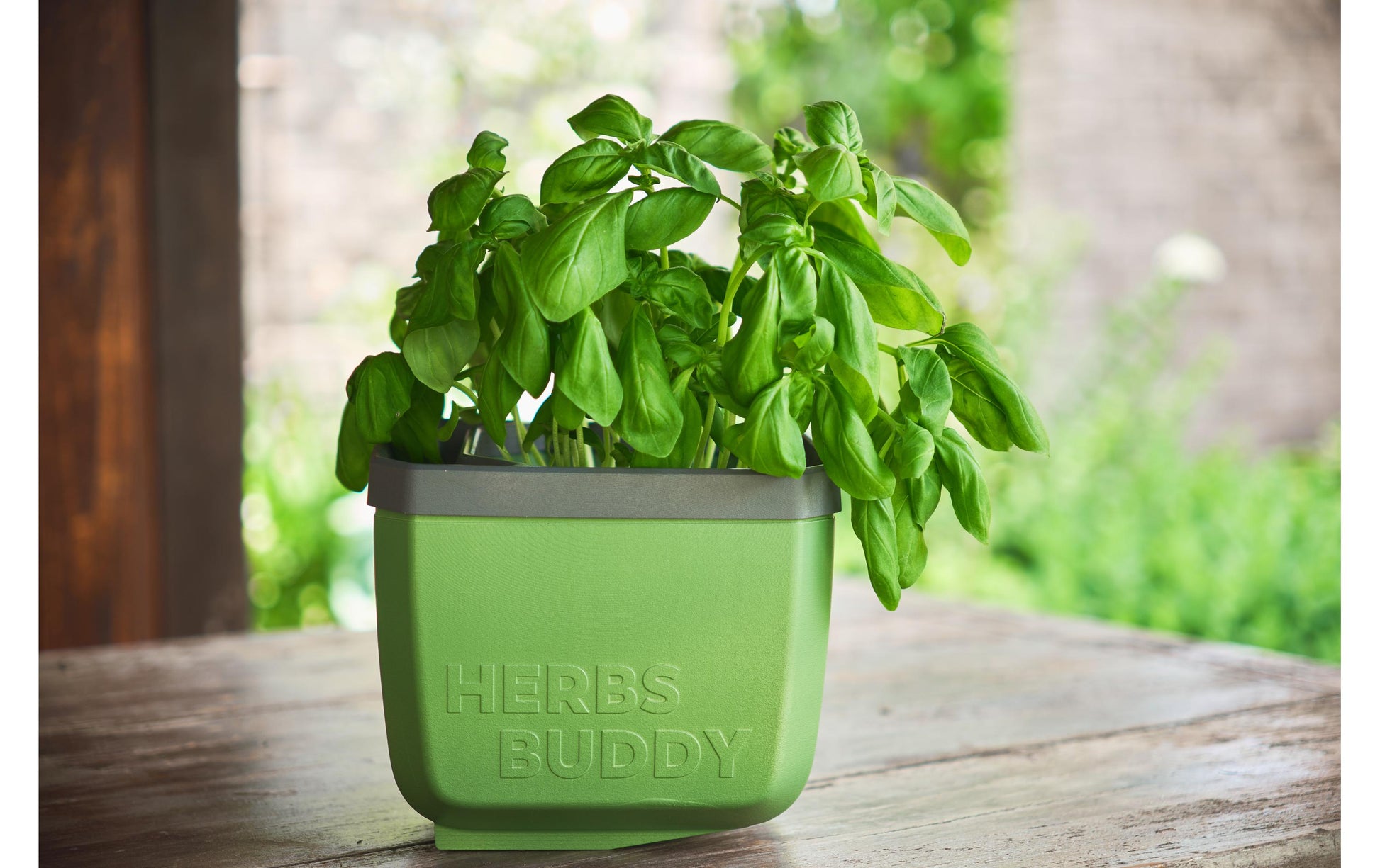 Gusta Garden Kräutertopf – 50 × 14,5 × 14,9 cm – Kunststoff, Grün – 3-teilig