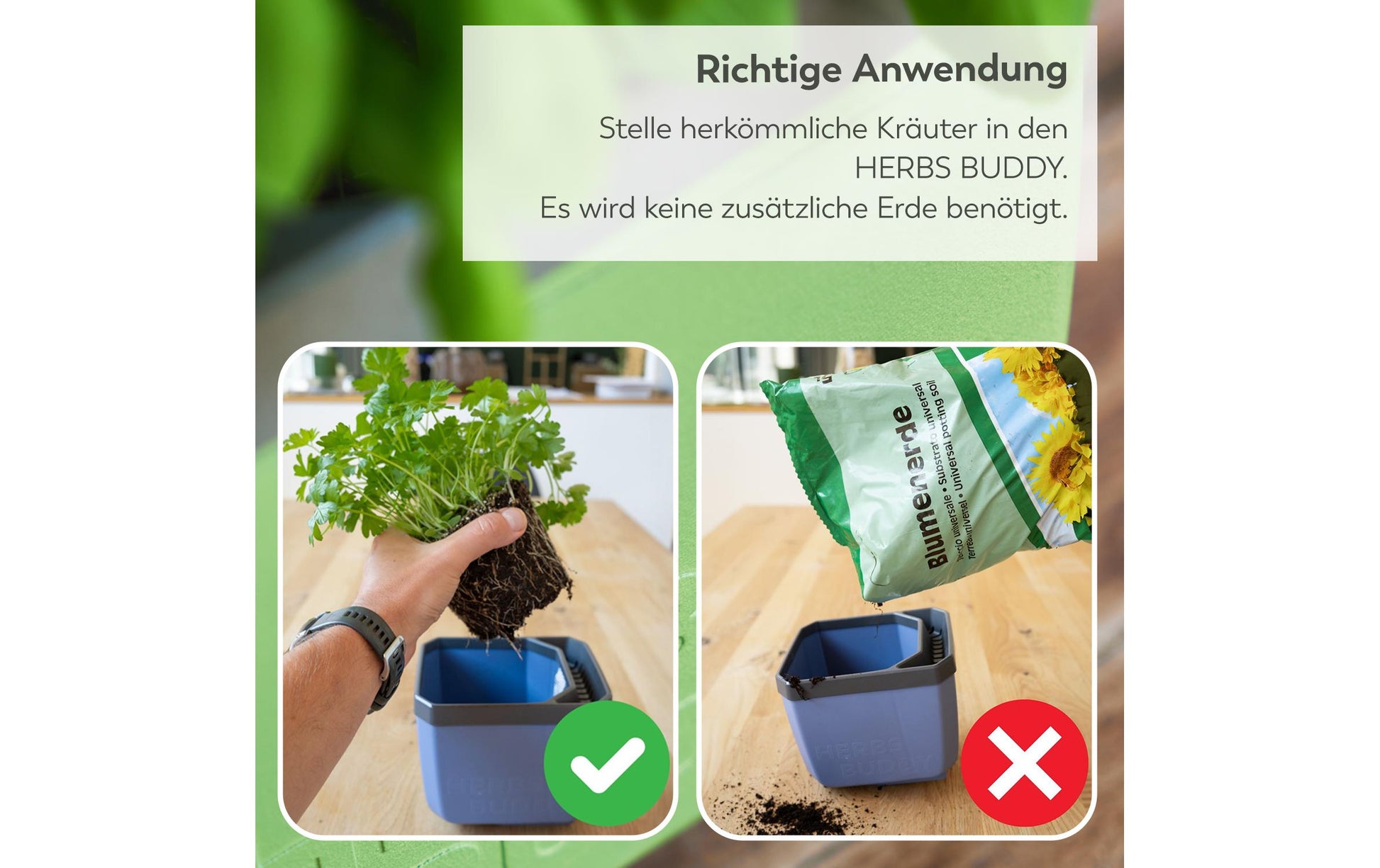 Gusta Garden HERBS BUDDY Übertopf – 3,5 l – Polypropylen, blau