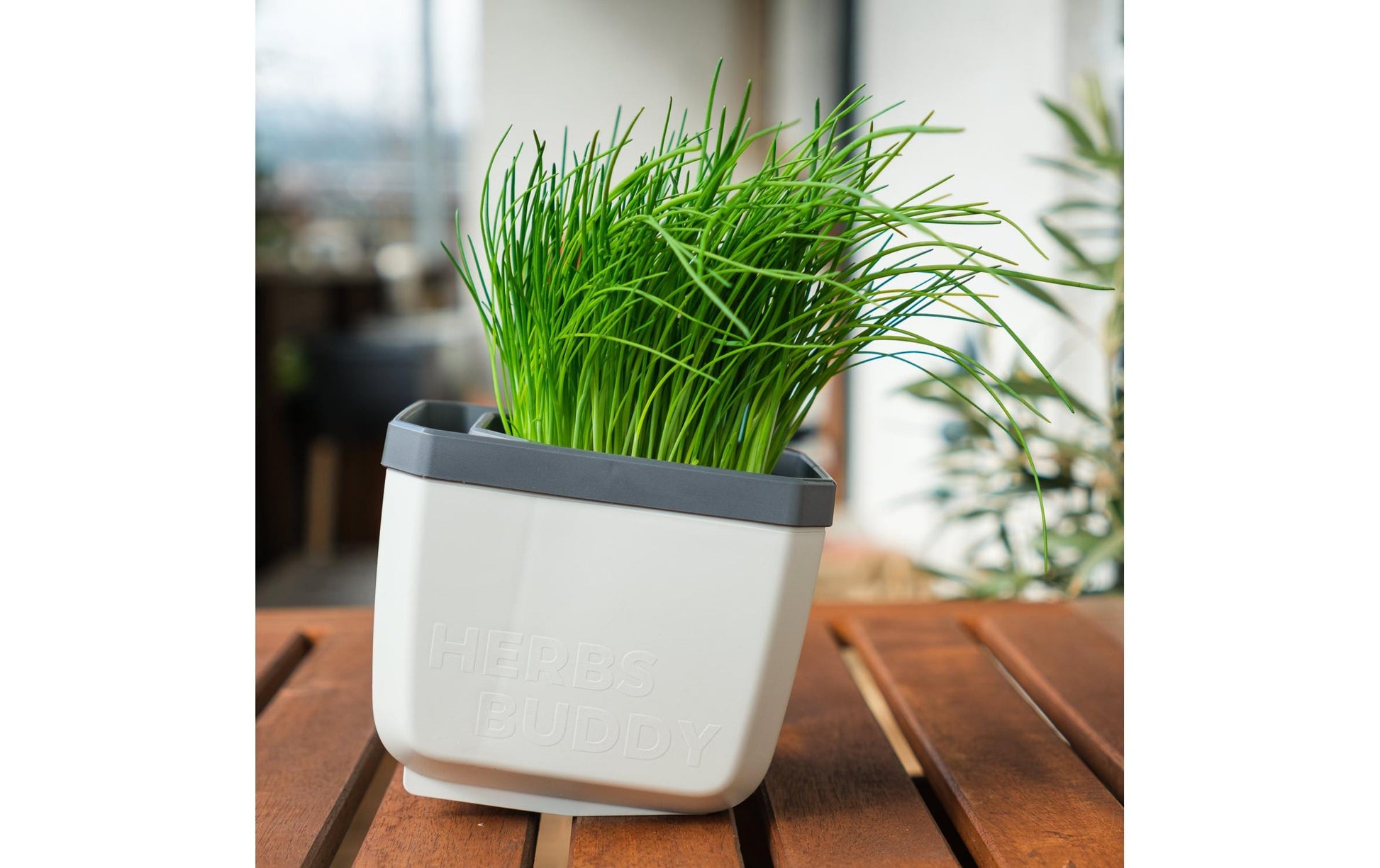 Gusta Garden HERBS BUDDY Kräutertopf – 3-teilig – Polypropylen, grau