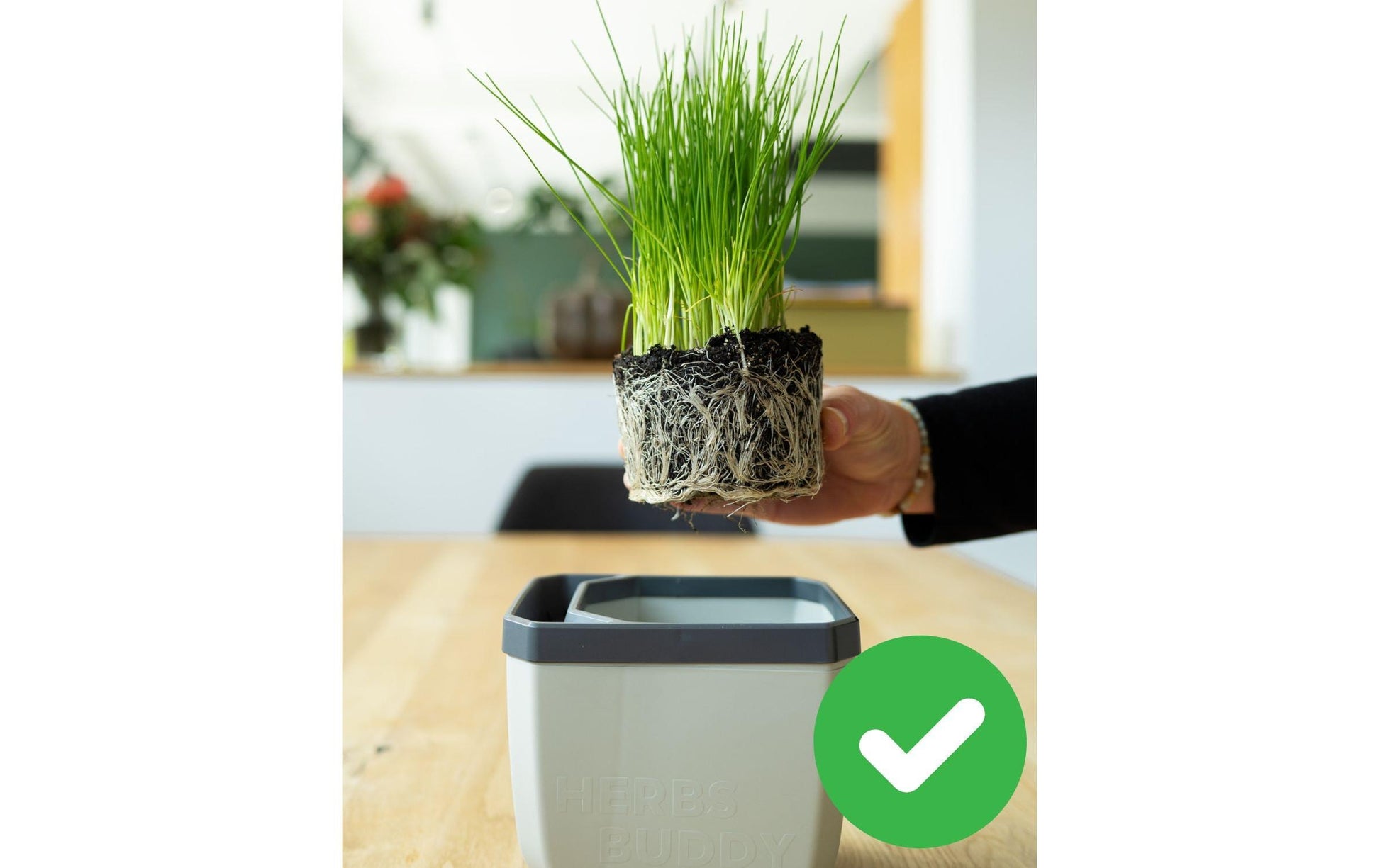 Gusta Garden HERBS BUDDY Kräutertopf – 3-teilig – Polypropylen, grau