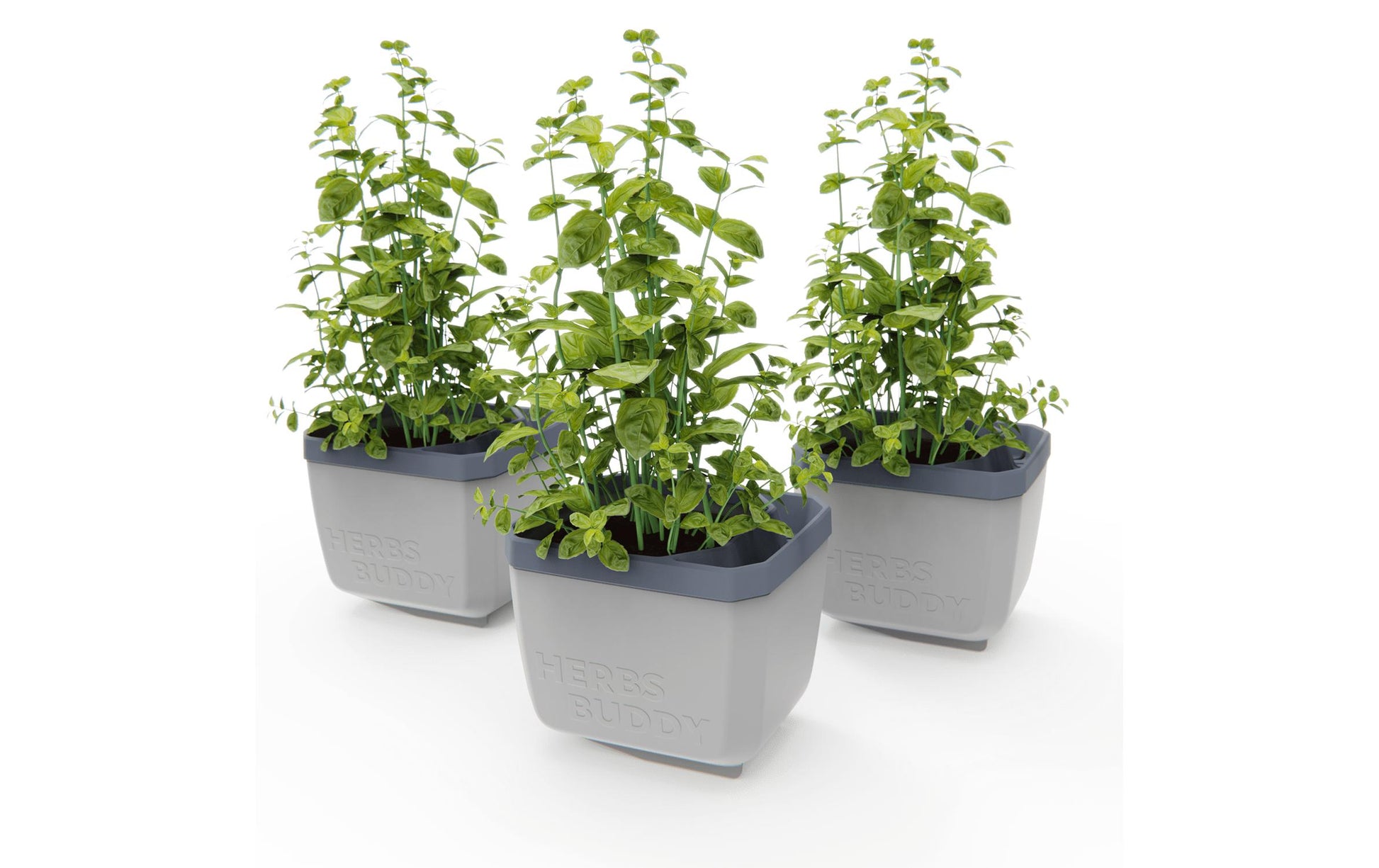 Gusta Garden HERBS BUDDY Kräutertopf – 3-teilig – Polypropylen, grau