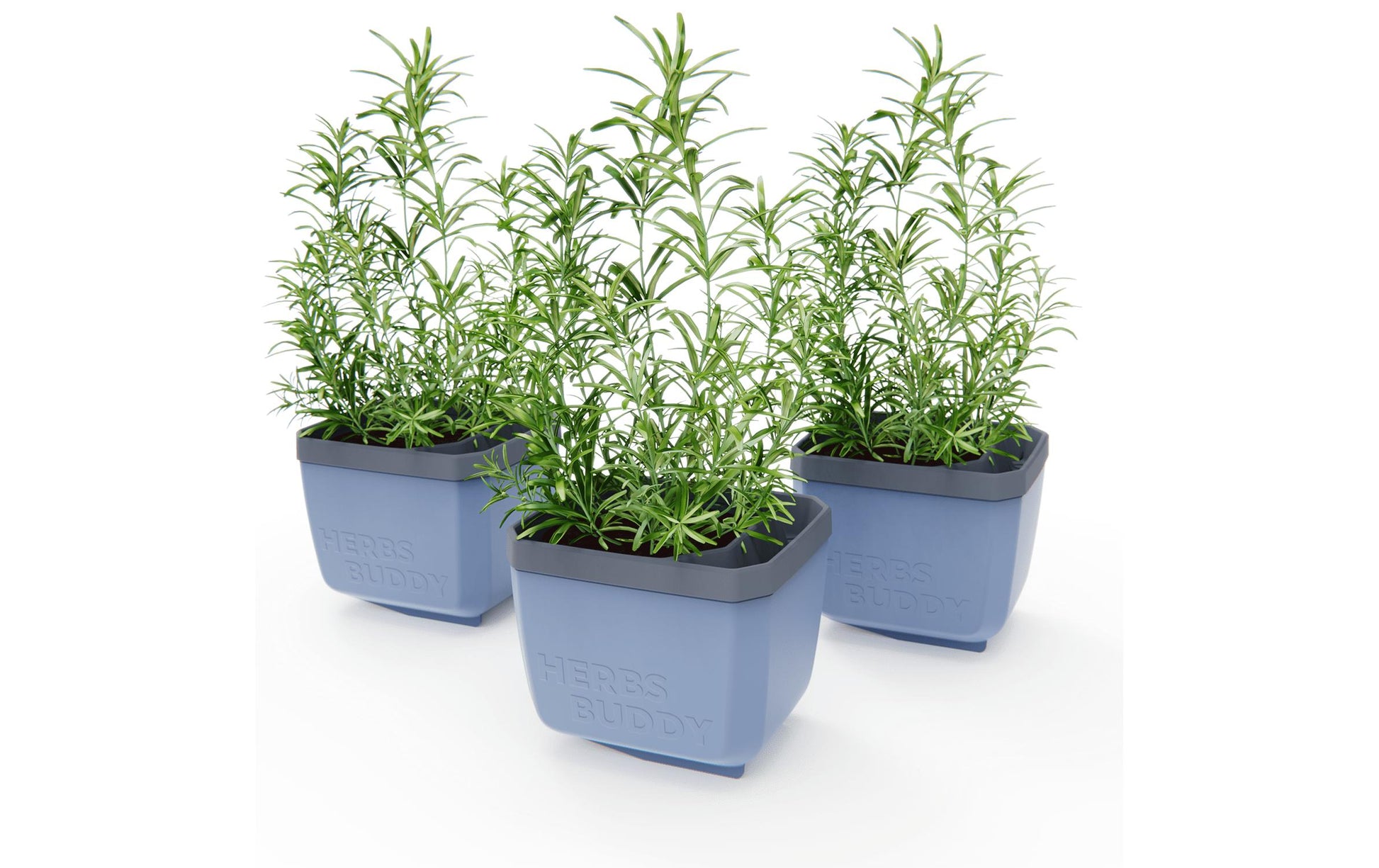 Gusta Garden HERBS BUDDY Kräutertopf – 10500 ml – Kunststoff, Blau, 3-teilig