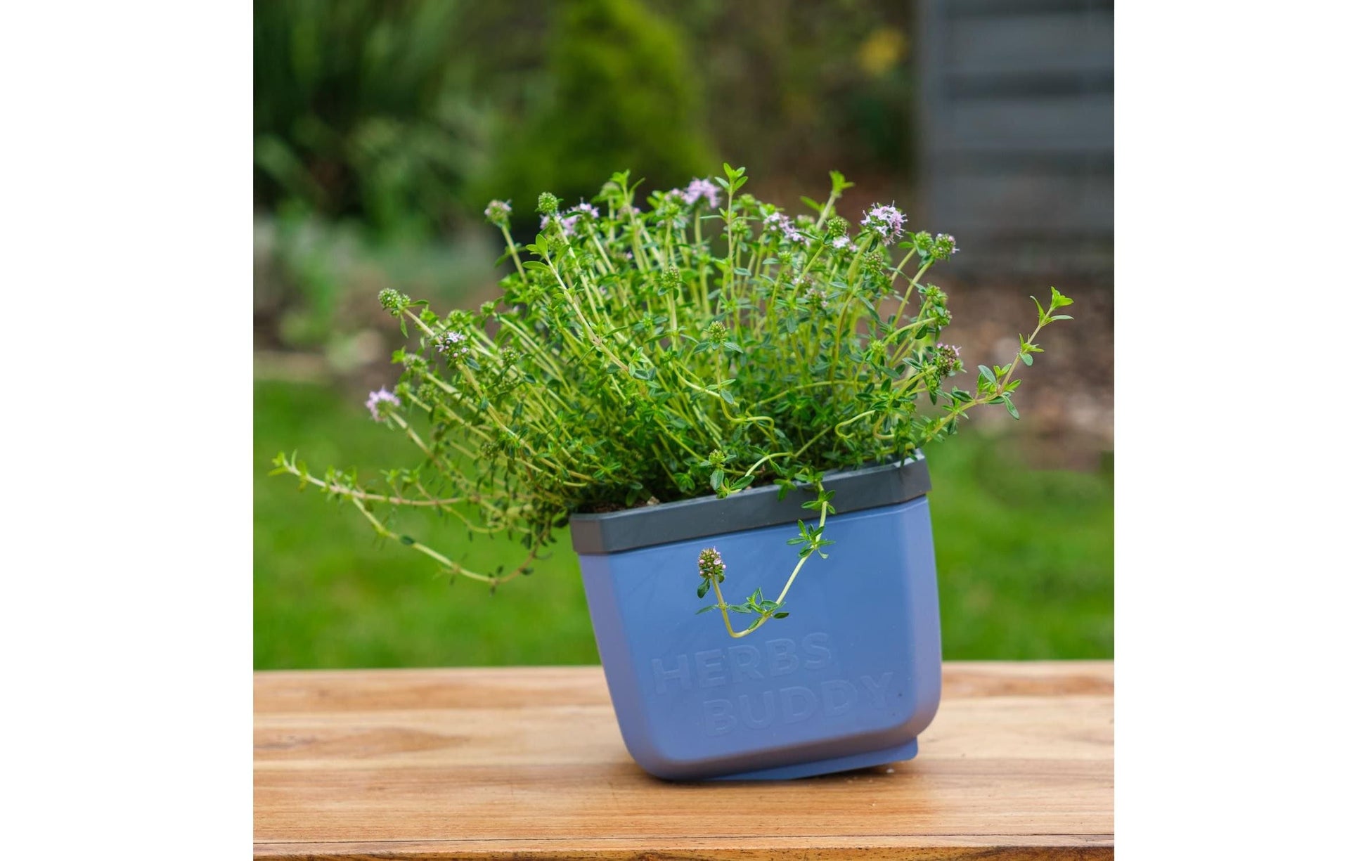 Gusta Garden HERBS BUDDY Kräutertopf – 10500 ml – Kunststoff, Blau, 3-teilig