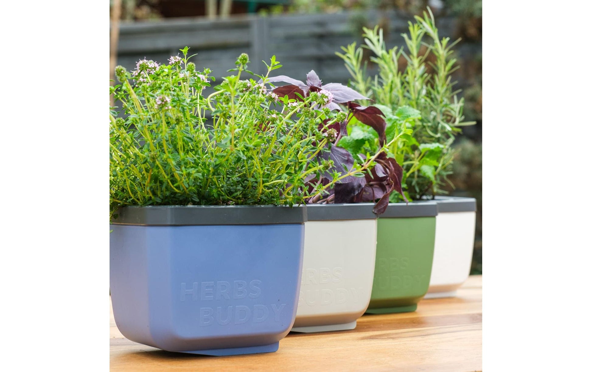 Gusta Garden HERBS BUDDY Übertopf – 3,5 l – Polypropylen, blau