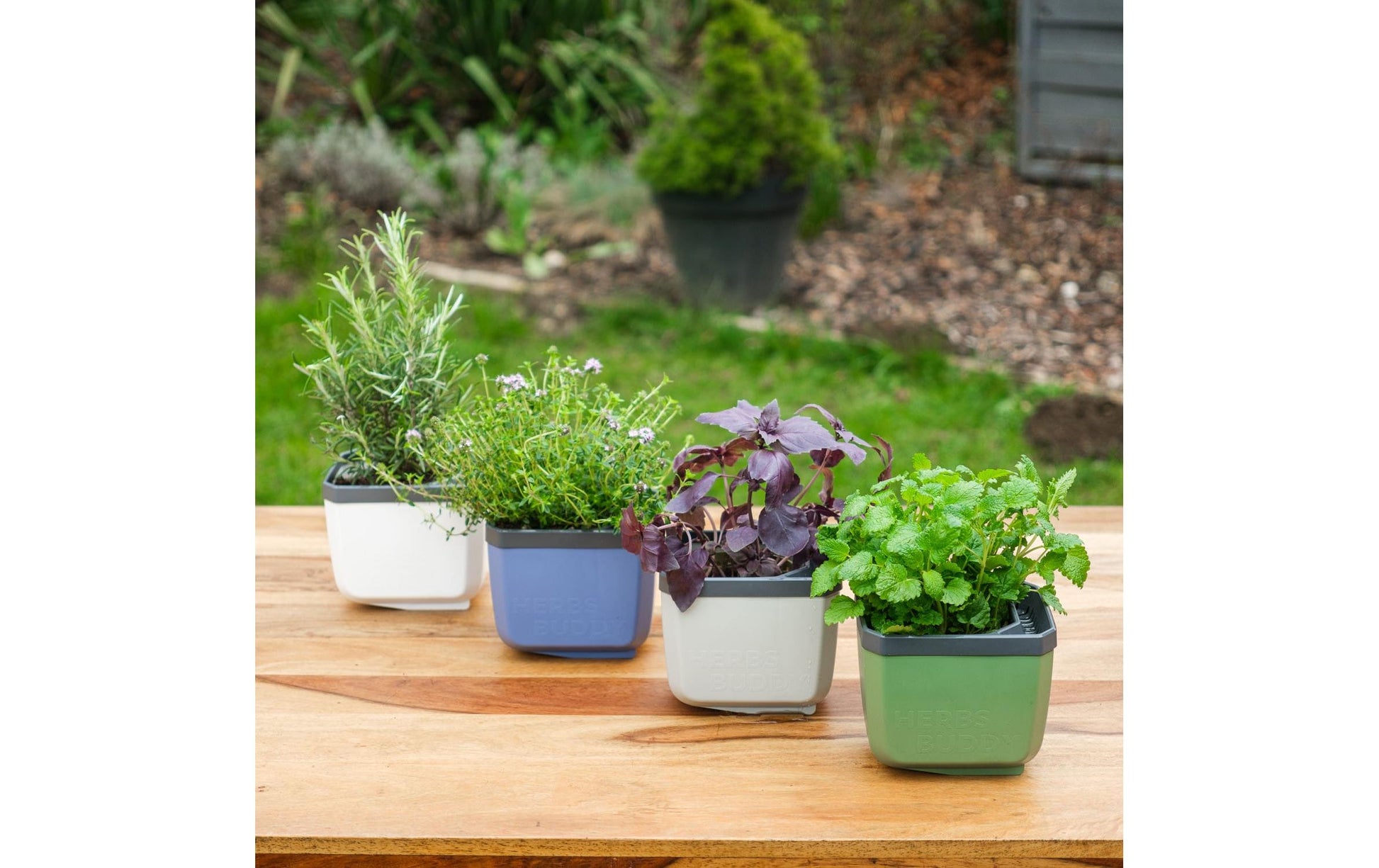 Gusta Garden HERBS BUDDY Übertopf – 3,5 l – Polypropylen, blau