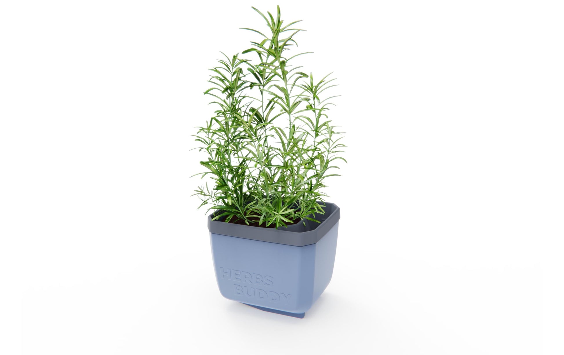 Gusta Garden HERBS BUDDY Übertopf – 3,5 l – Polypropylen, blau