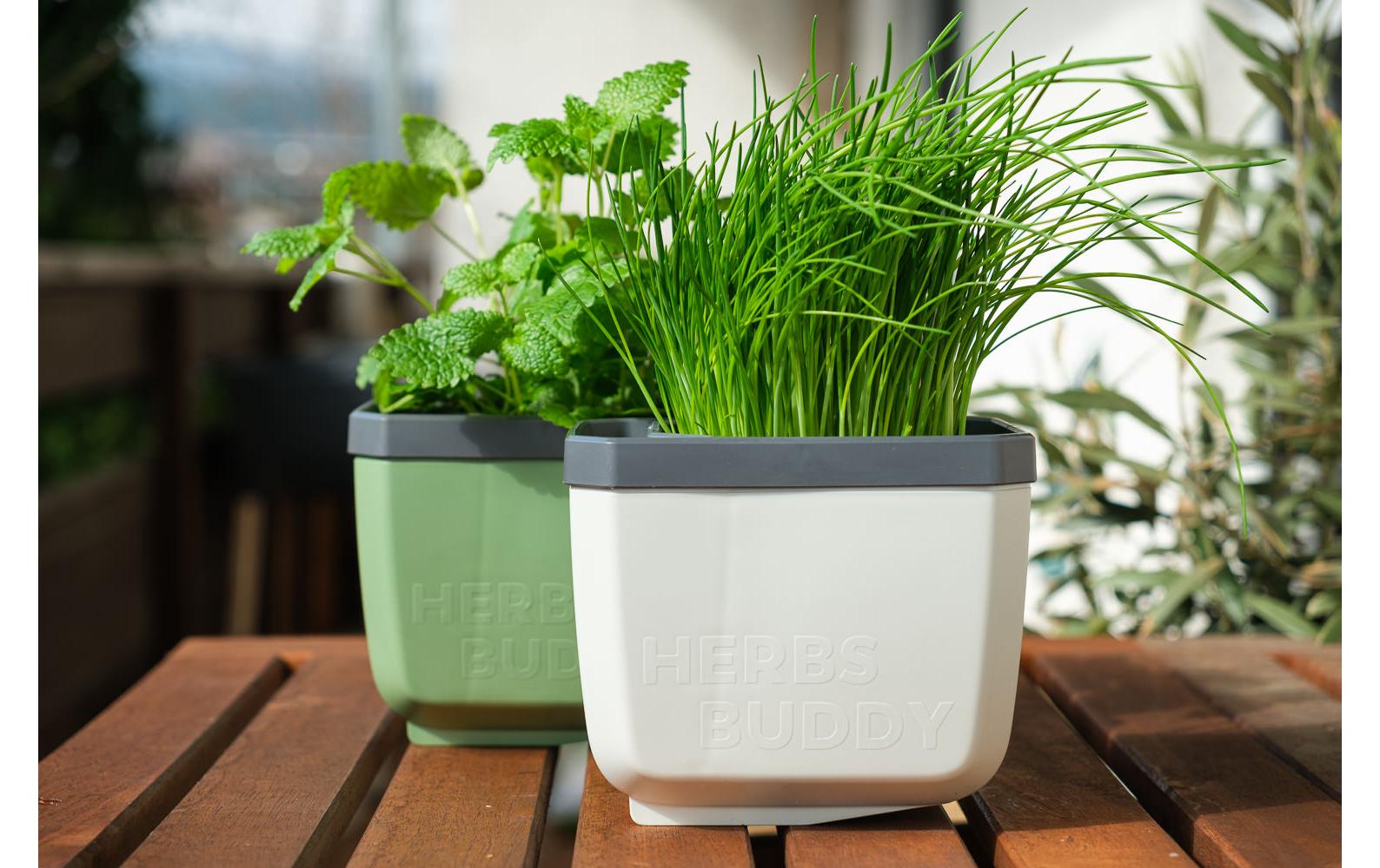 Gusta Garden Pflanztopf – 3,5 l – Polypropylen (PP), Dunkelgrün – 16,3 × 14,5 × 14,9 cm – 3-teilig
