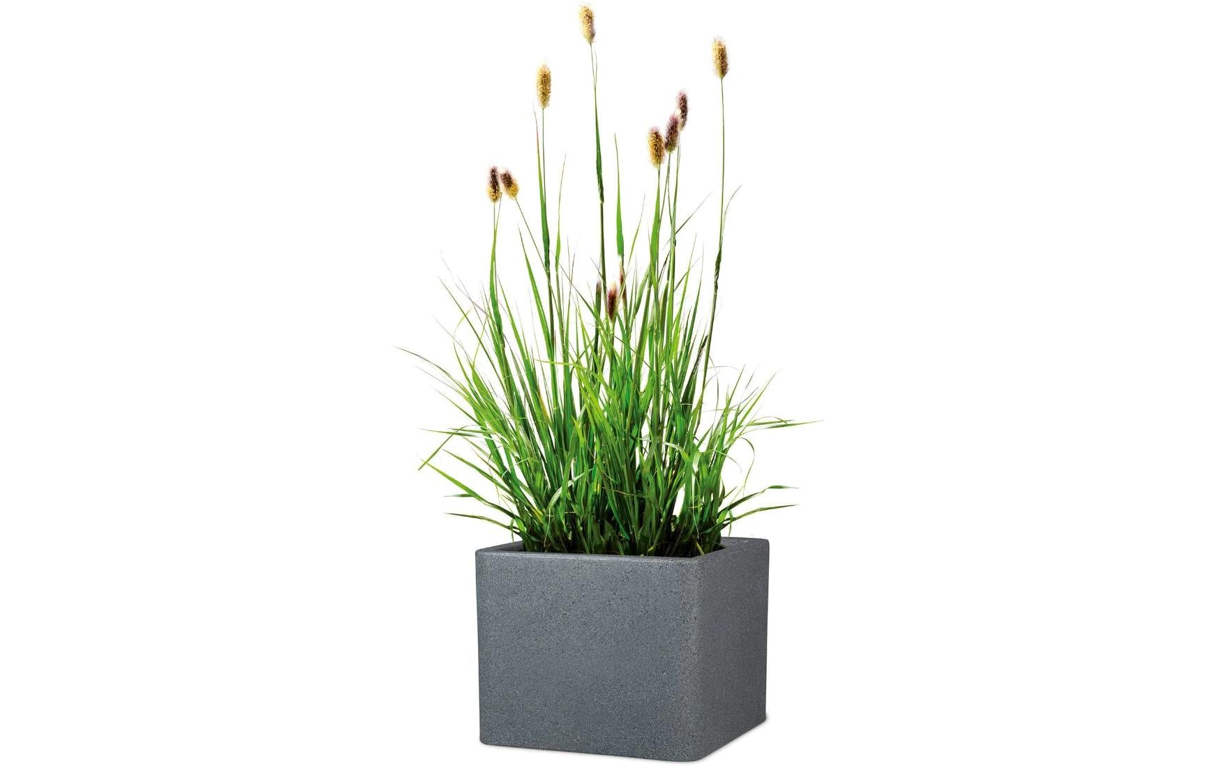 Scheurich Topfpflanzer – Ø 38 × 33 cm – Kunststoff, schwarz, granit