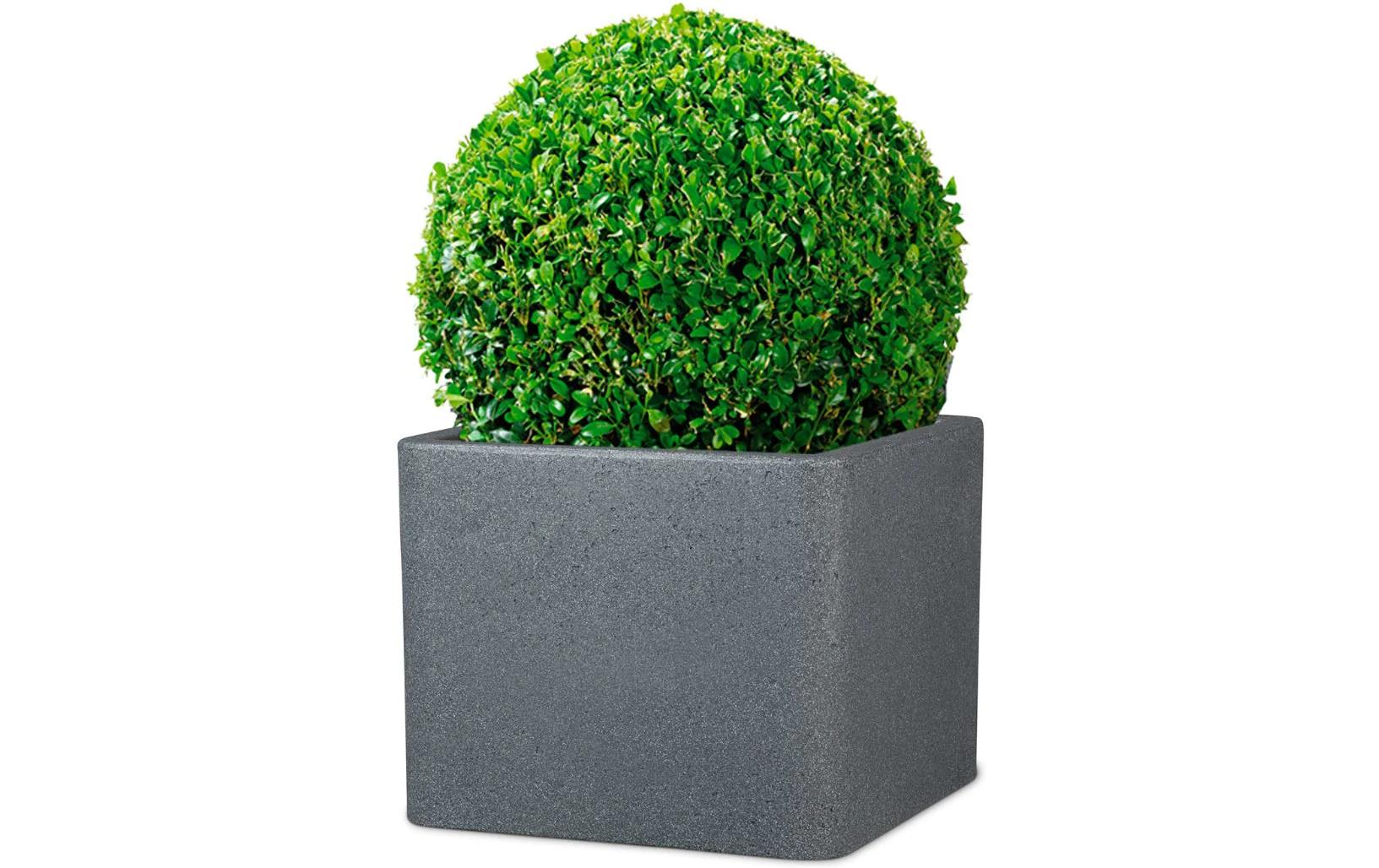Scheurich Topfpflanzer – Ø 38 × 33 cm – Kunststoff, schwarz, granit