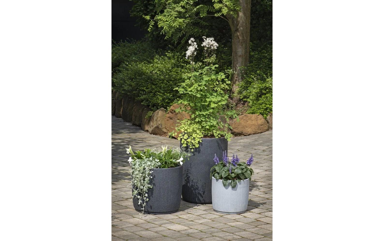 Scheurich Topfpflanzer – 35 l, 38,6 × 35,3 cm – Kunststoff, mehrfarbig