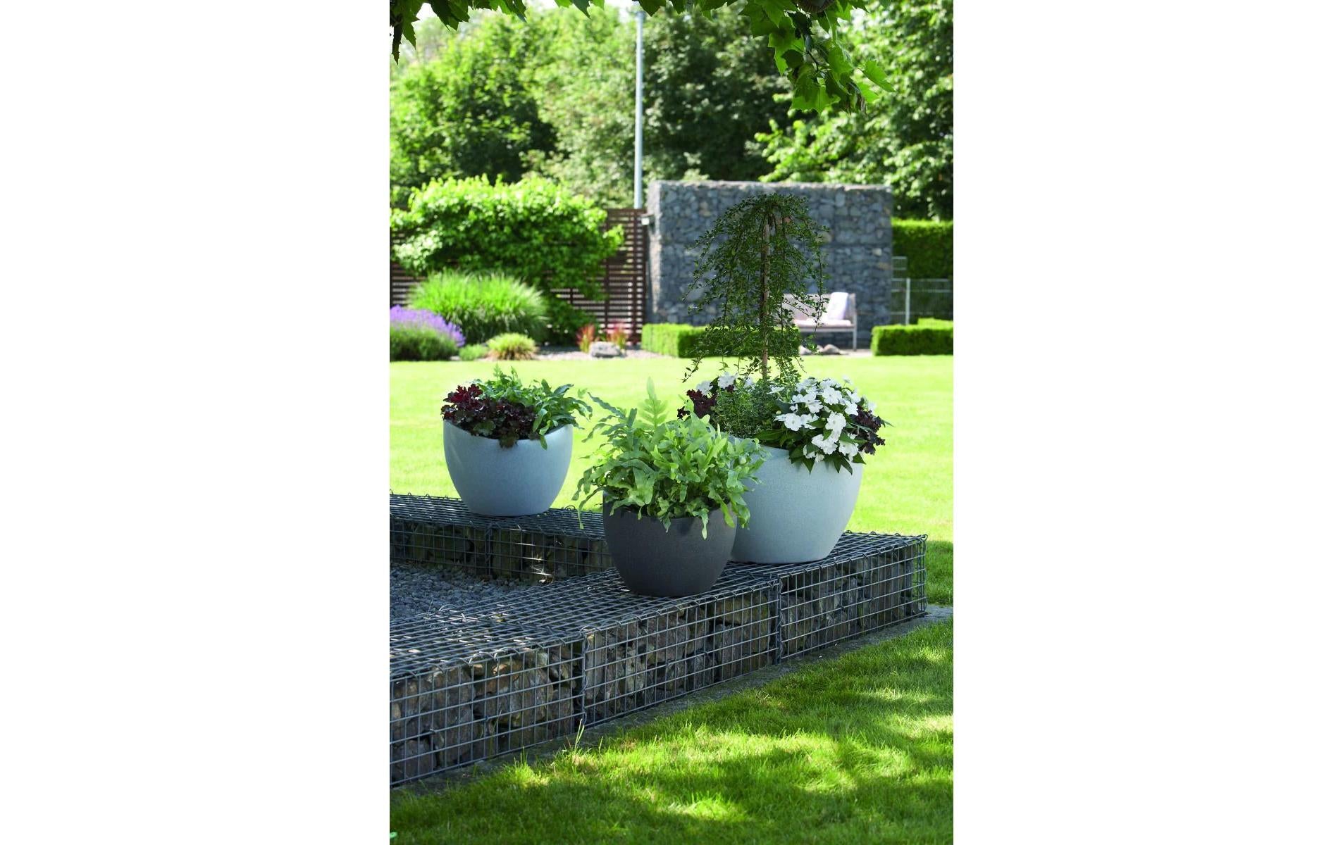 Scheurich Pflanzgefäss – 59,5 × 60 × 44,5 cm – Kunststoff, schwarz granit