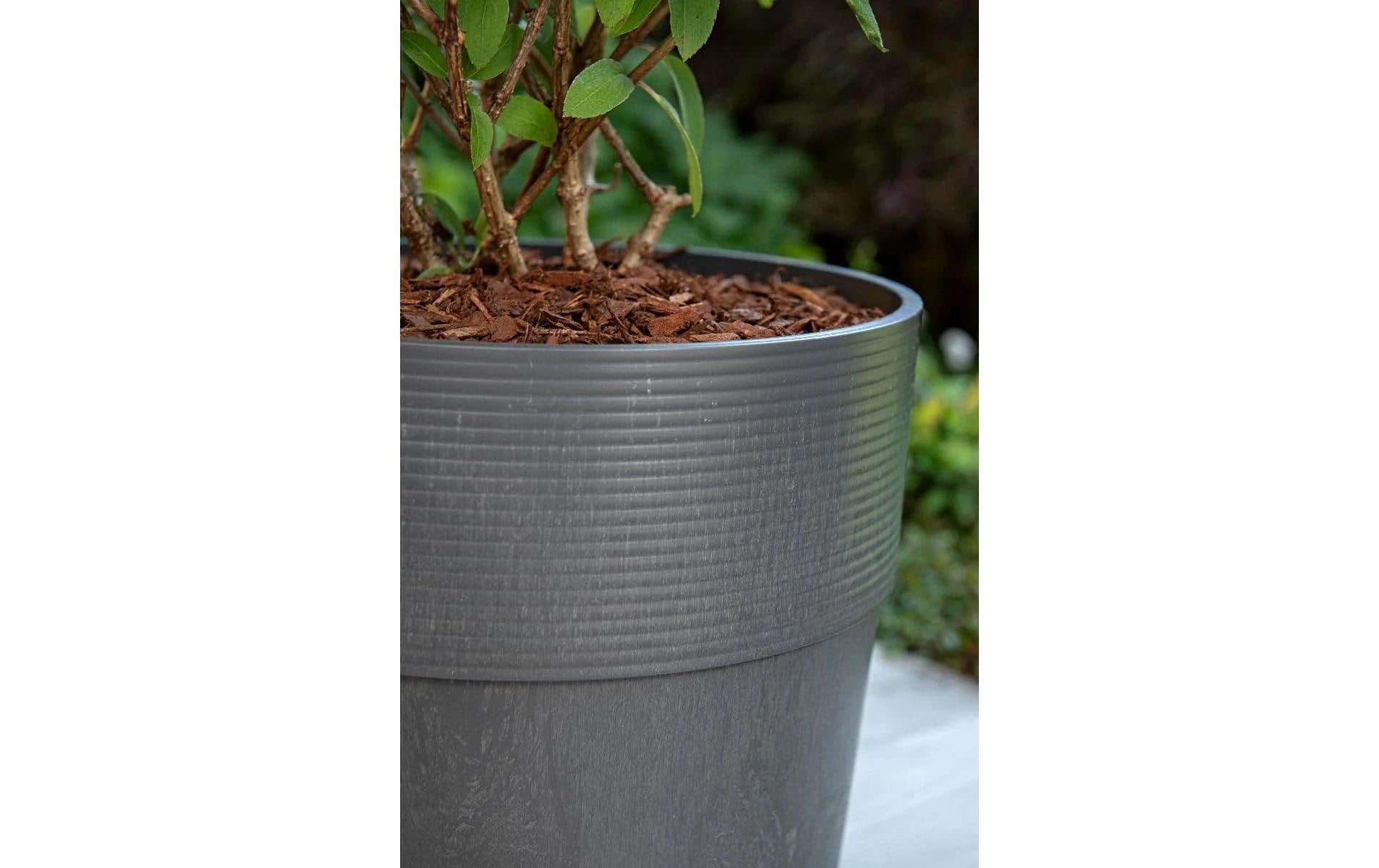 Scheurich Topfpflanzer – Ø 39 × 35 cm, 31 l – Kunststoff, grau