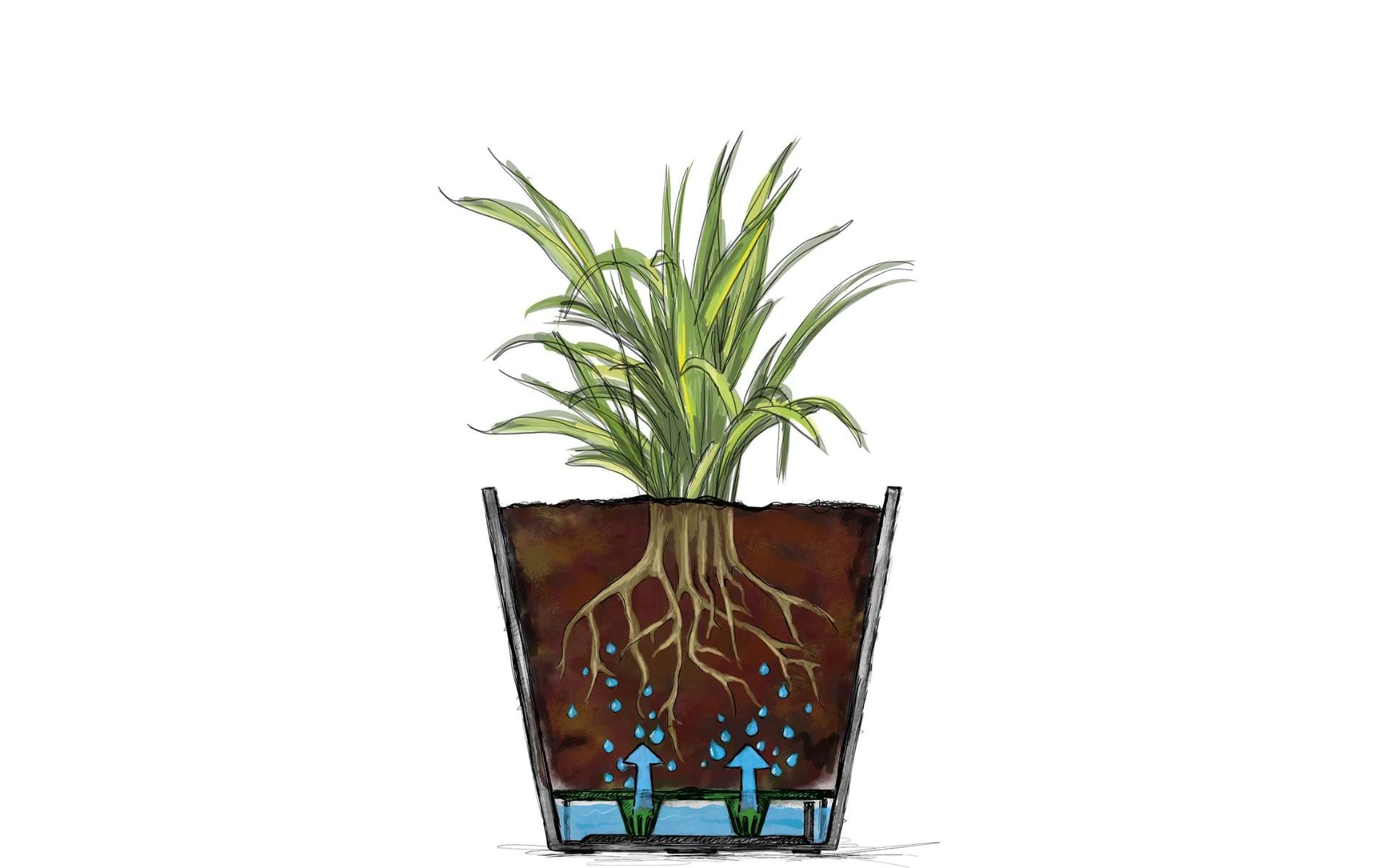 Scheurich Topfpflanzer – Ø 39 × 35 cm, 31 l – Kunststoff, grau