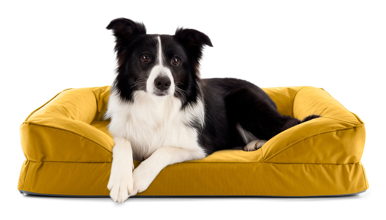 Lumaland Hundebett – 65 × 90 cm, Polyester/PVC, abwaschbarer Bezug, Anti-Rutsch-Basis, Senfgelb, 1 Stk.