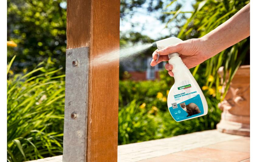 Windhager Marderabwehr Spray – 500 ml – für Marder